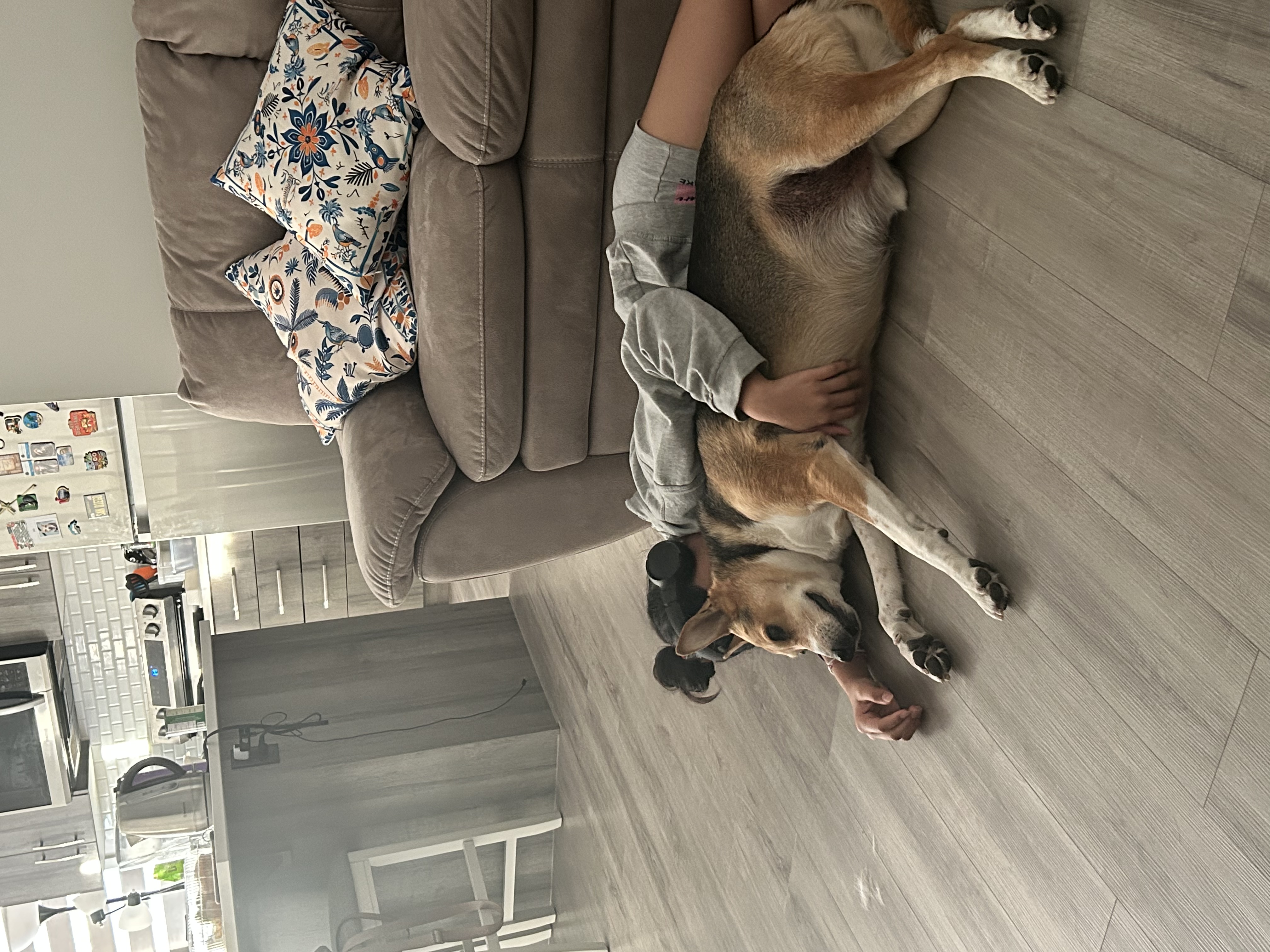 image-18