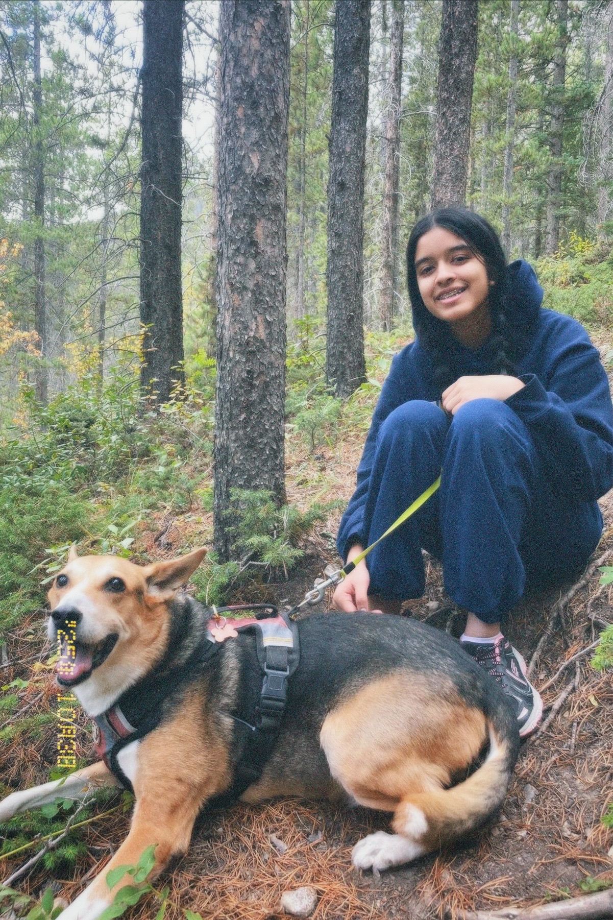 image-15