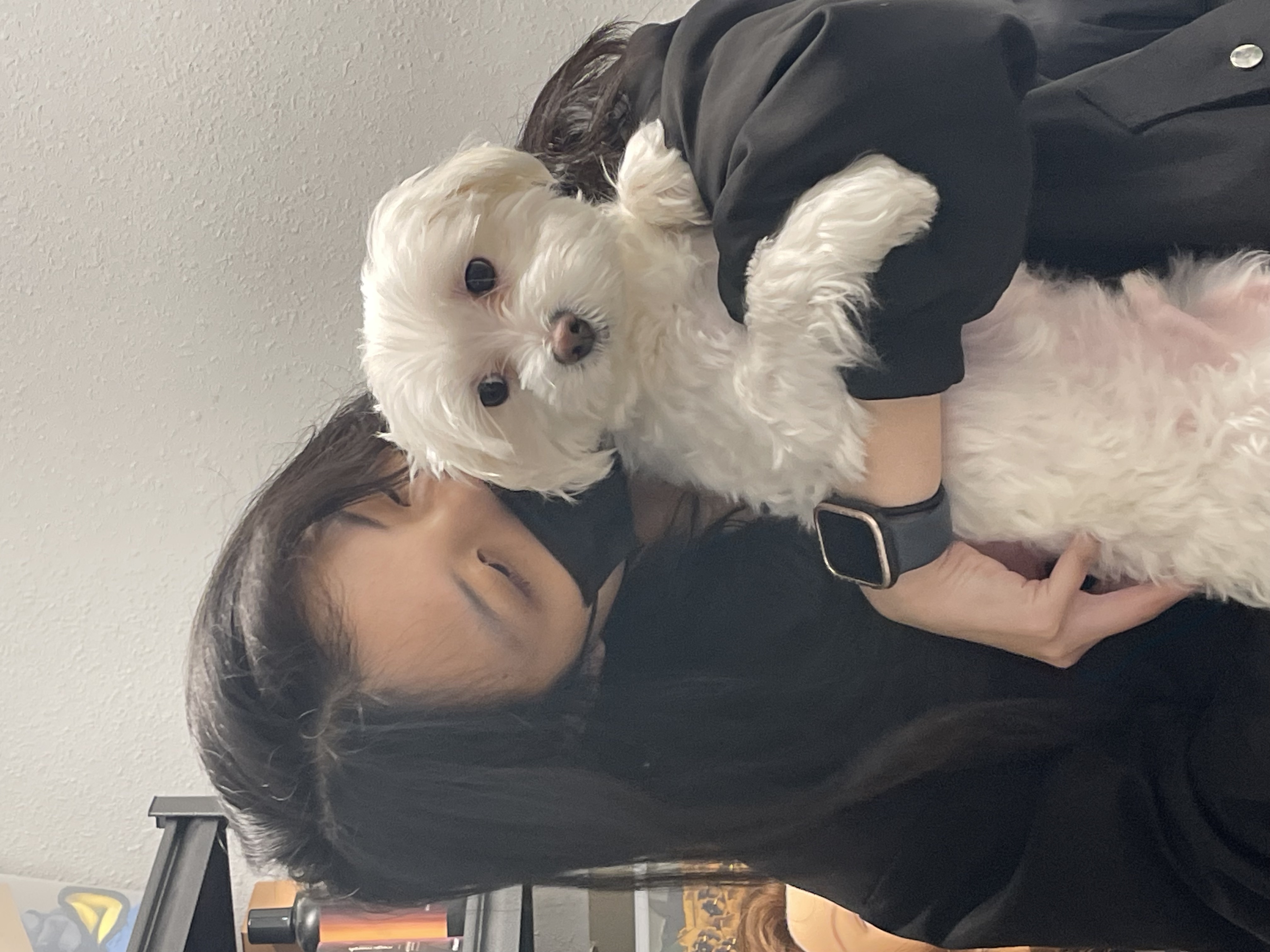 image-10