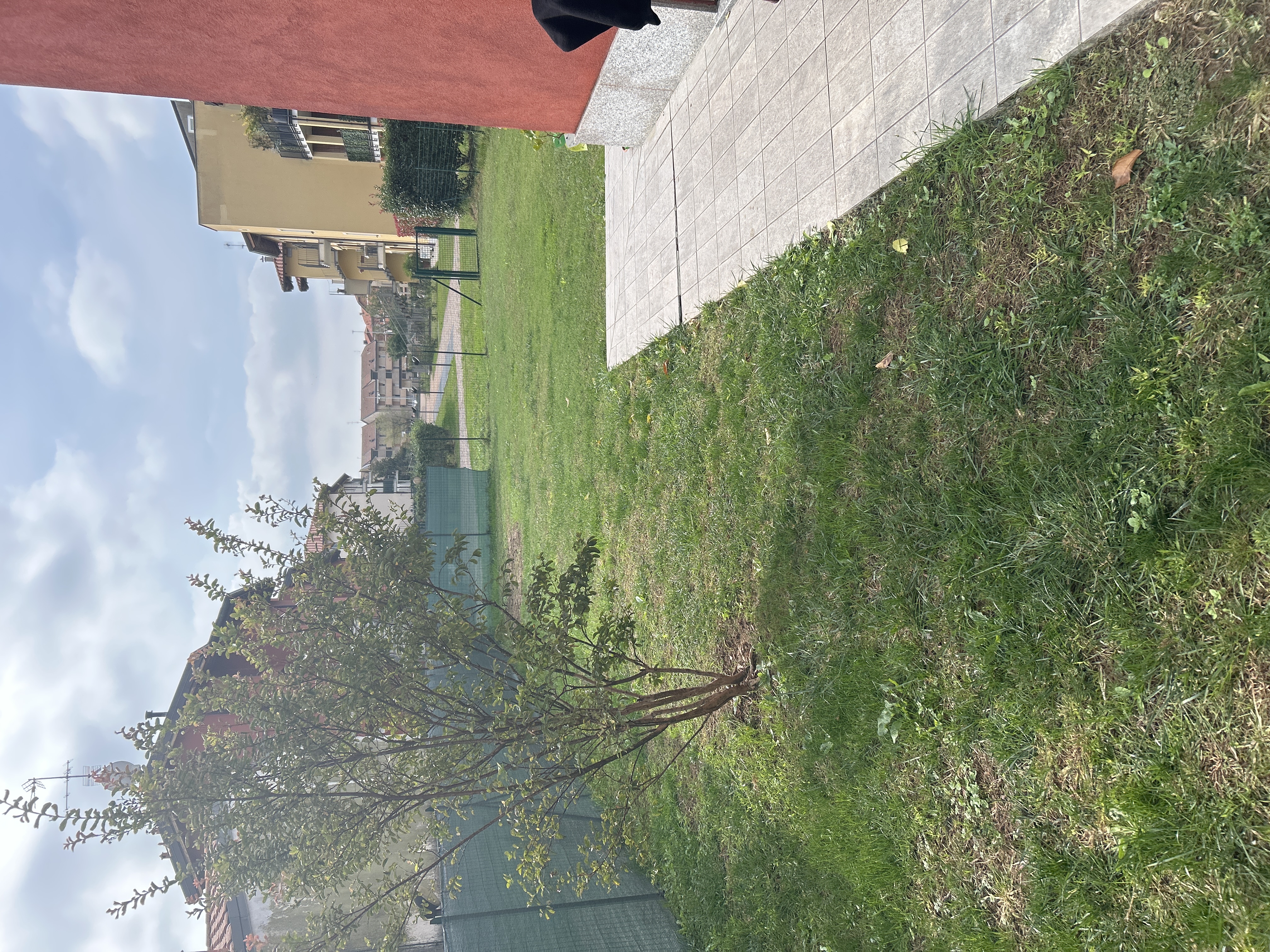 image-16