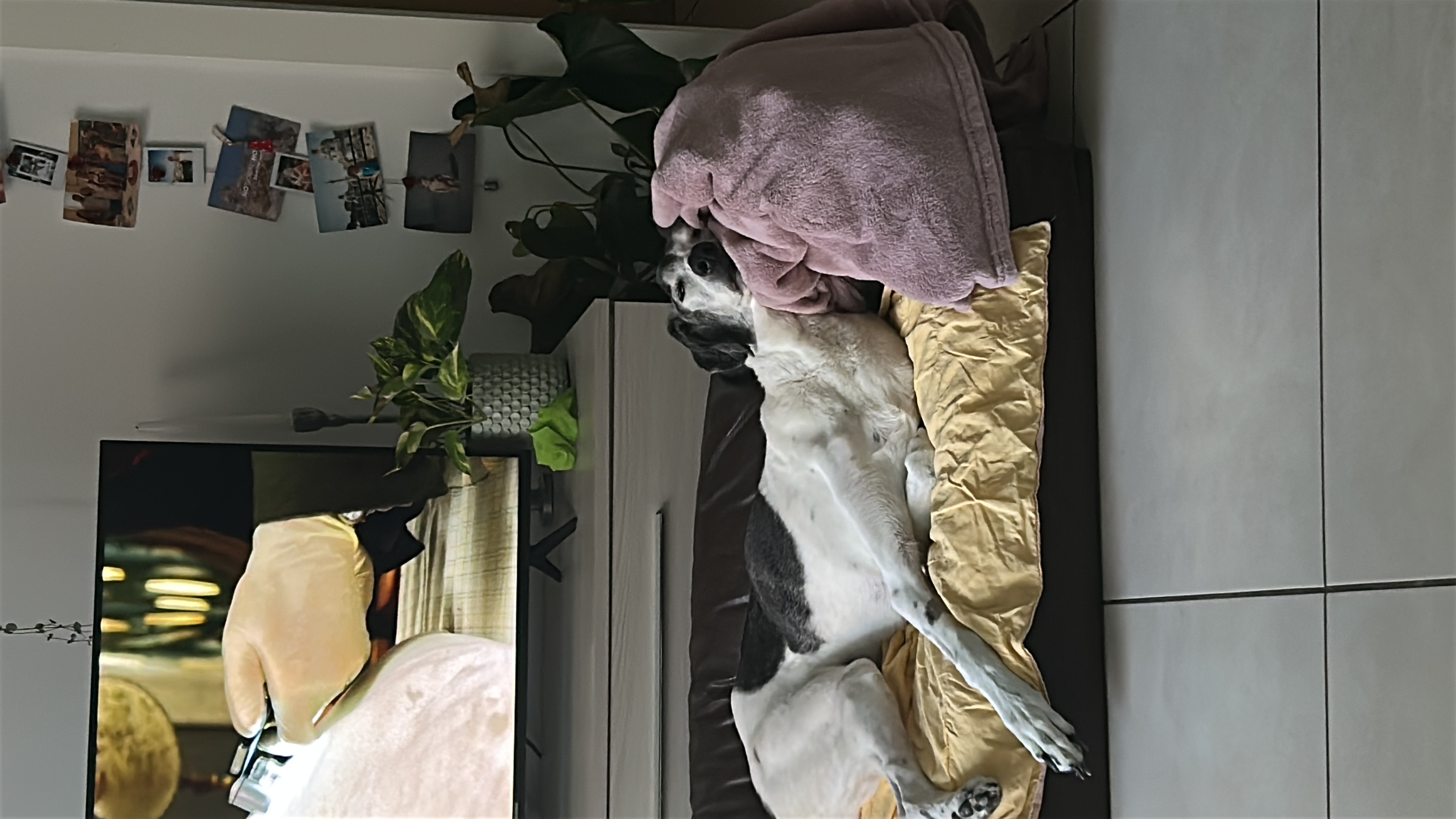image-18