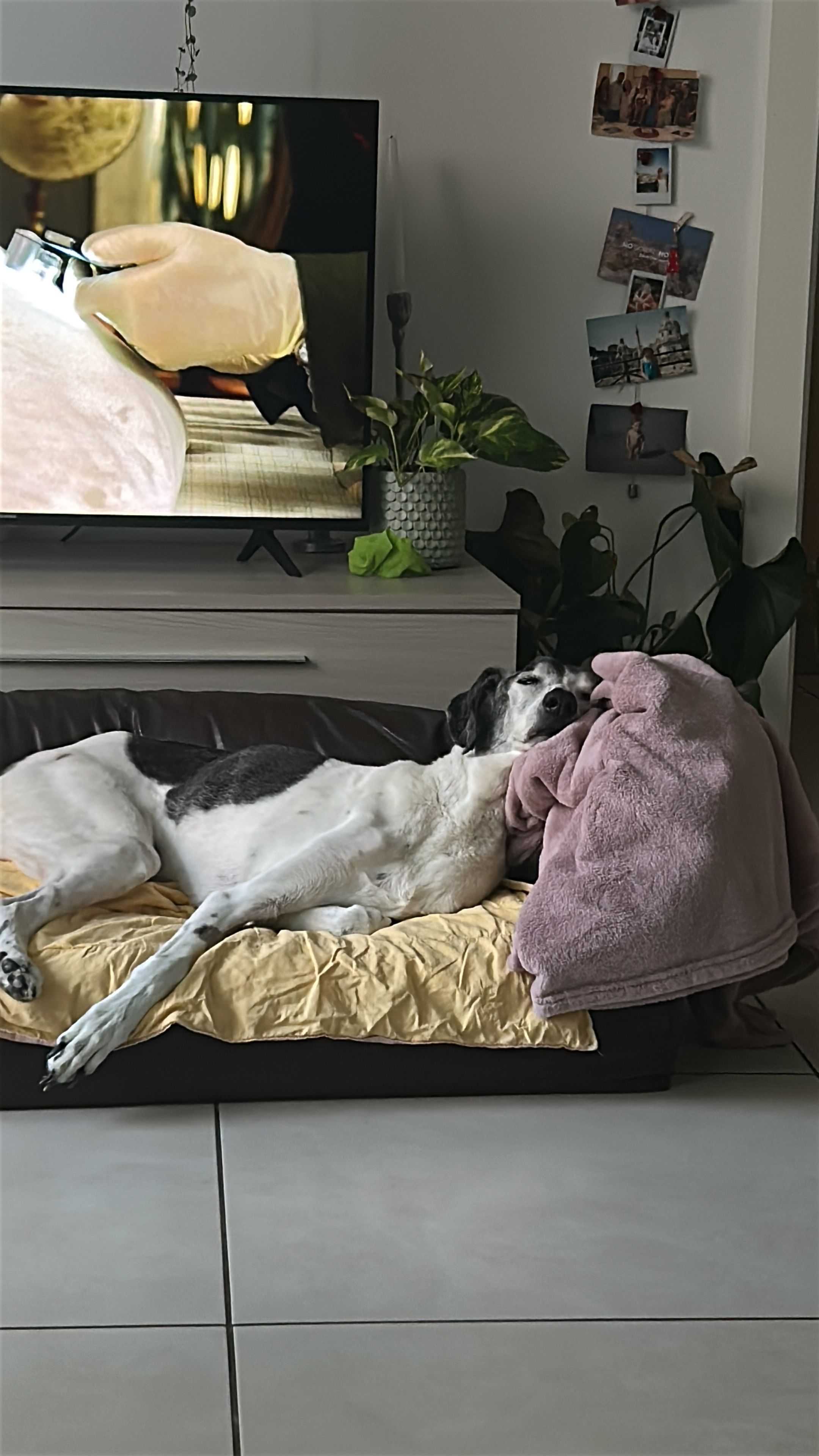 image-18