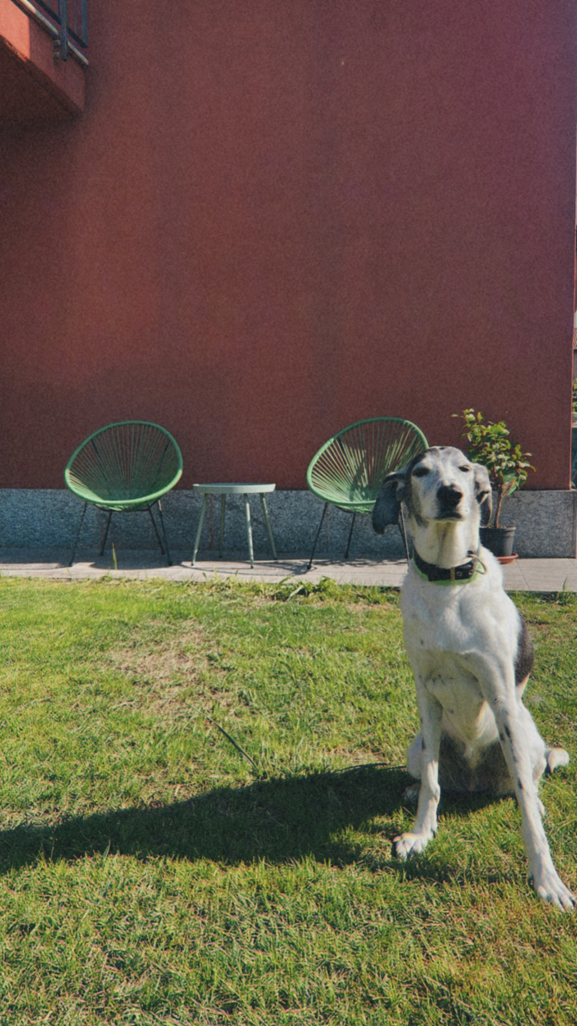 image-21