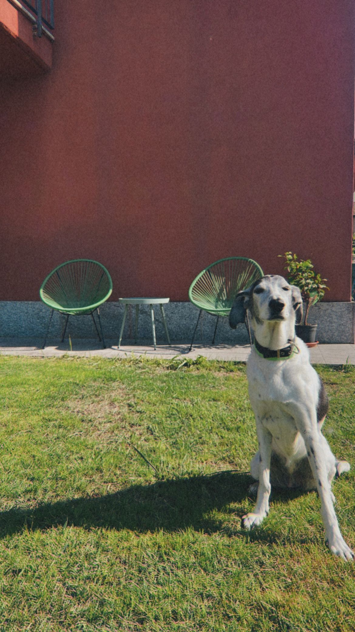 image-21