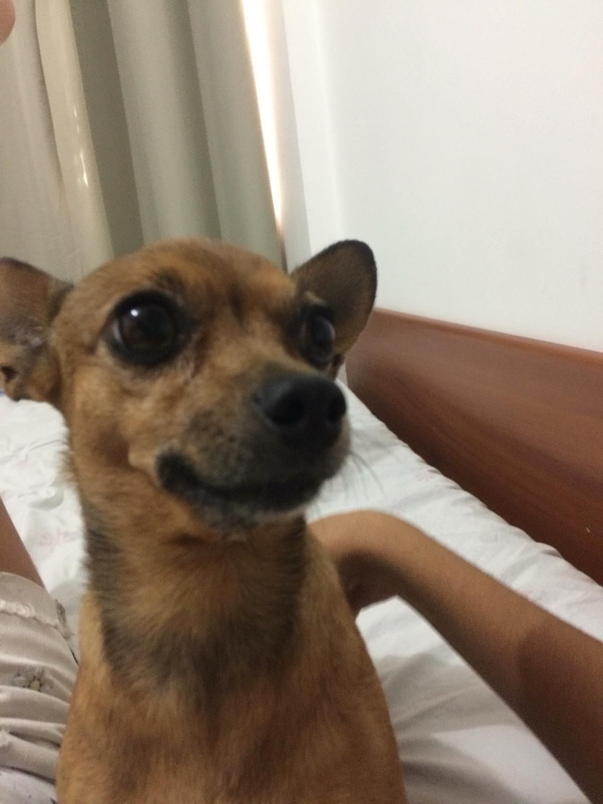 image-2