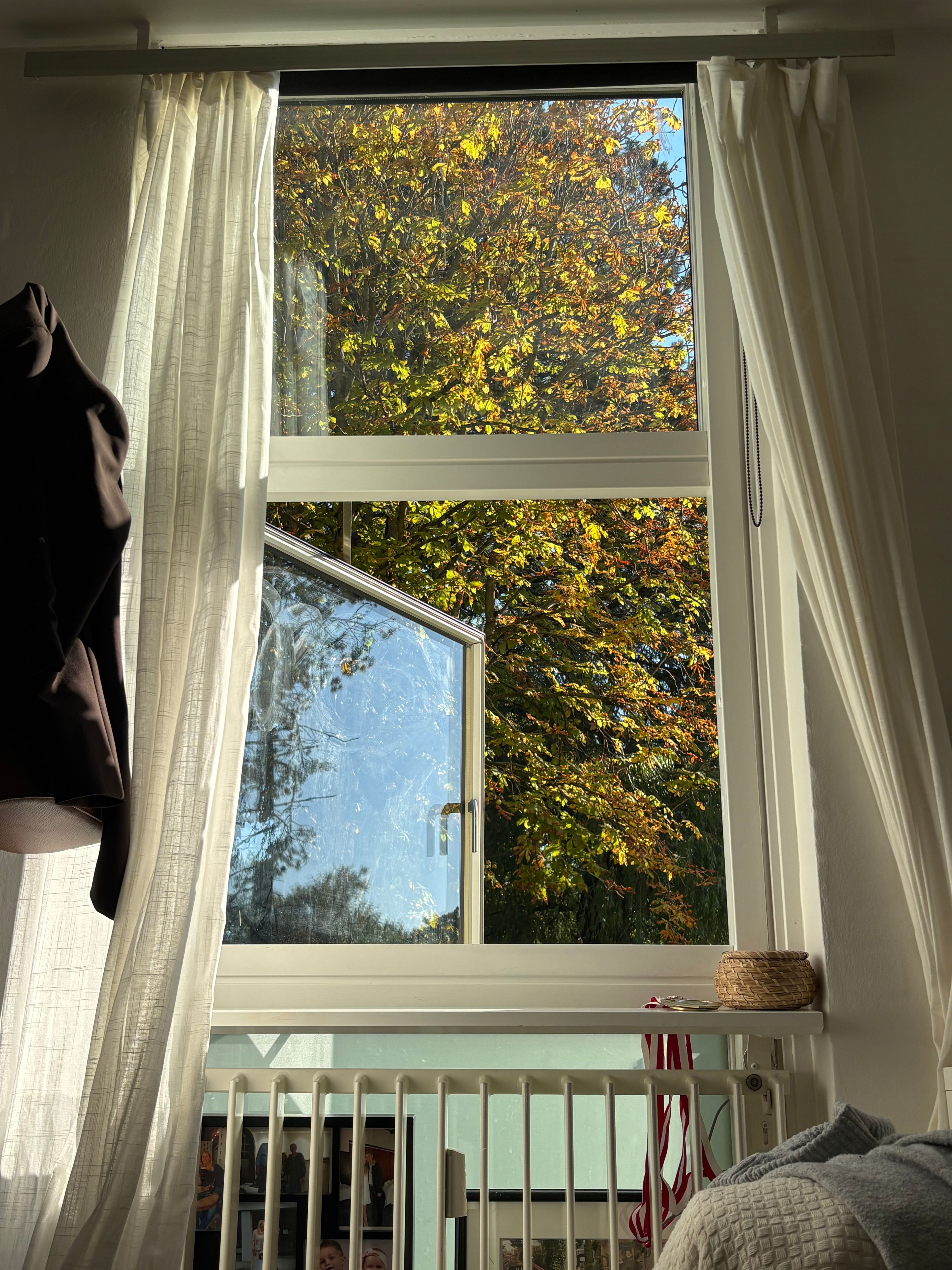 image-19
