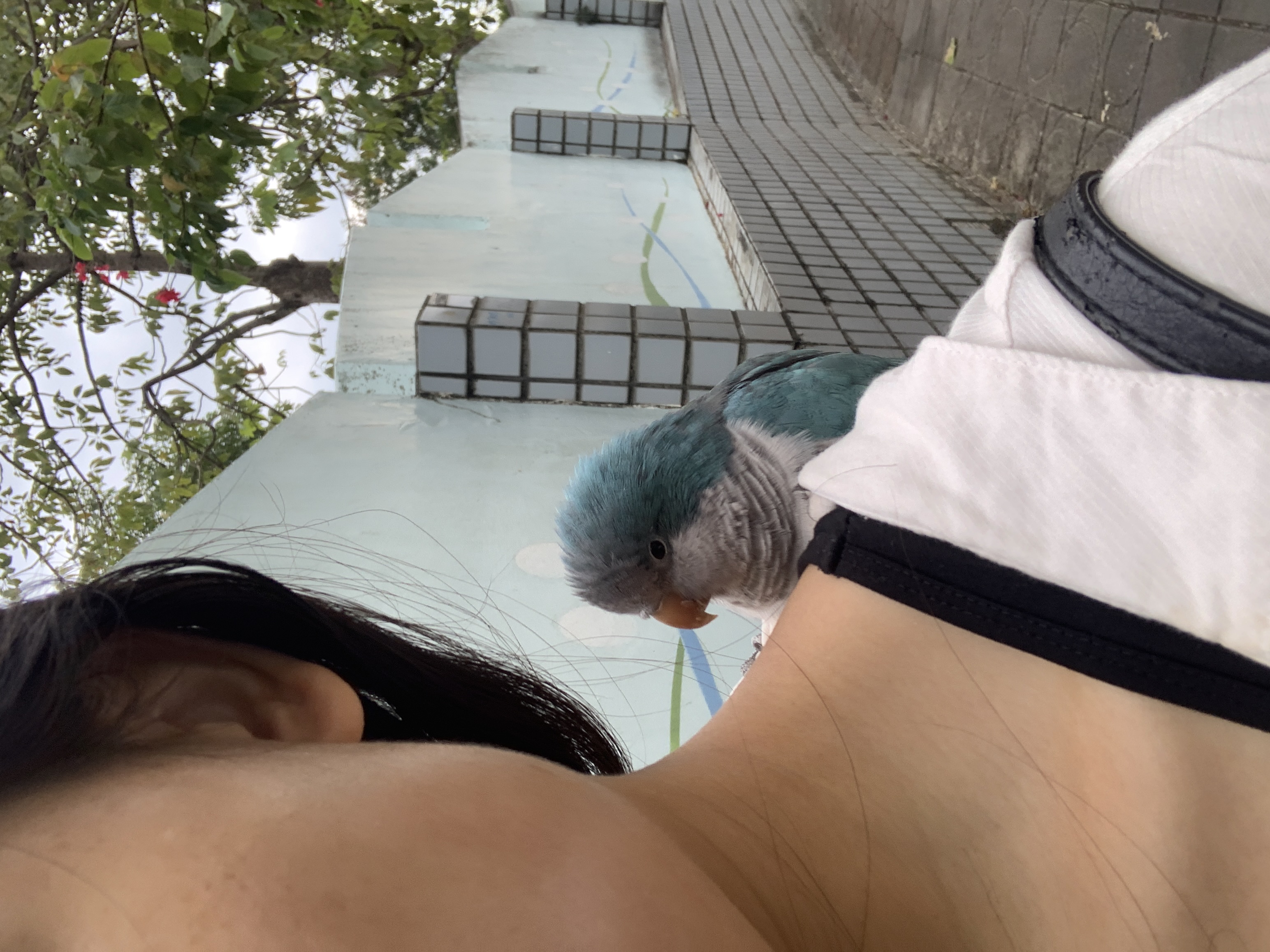 image-3