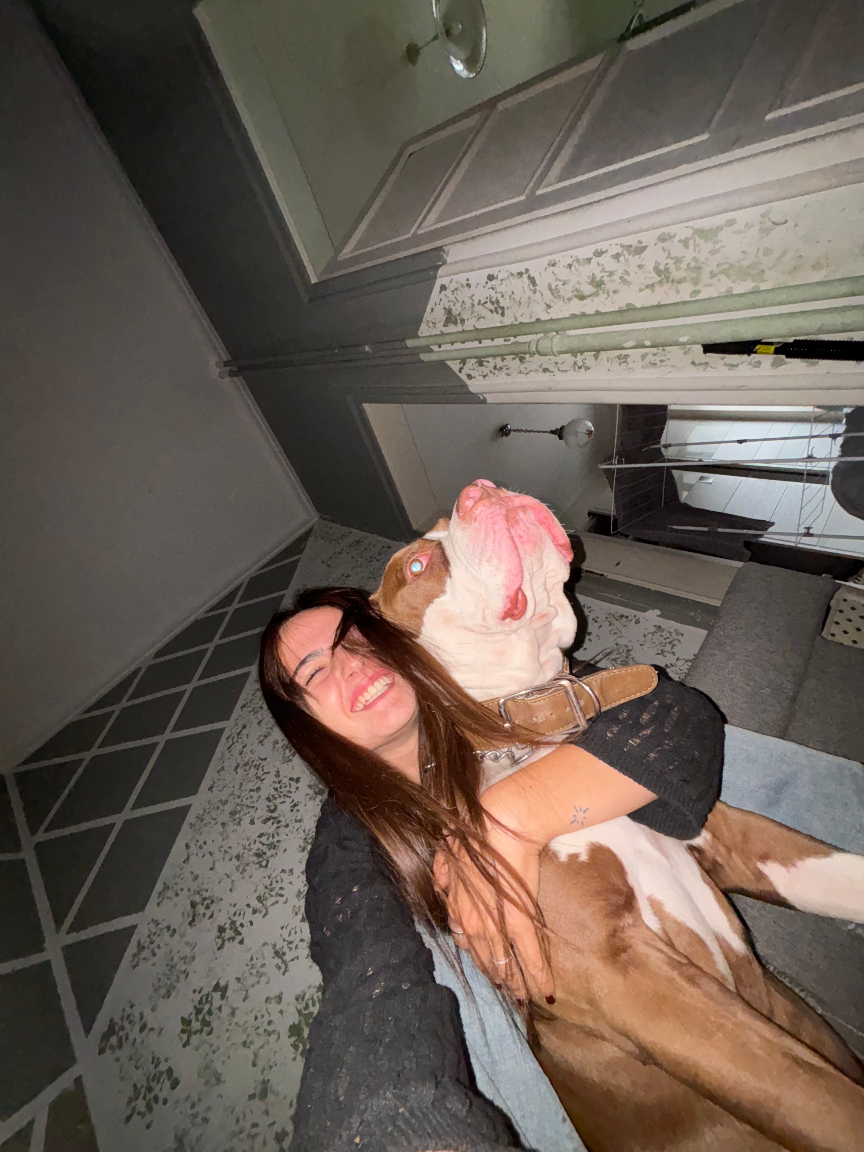 image-8