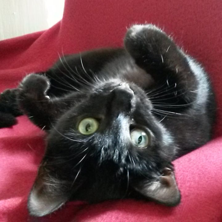 Kiki