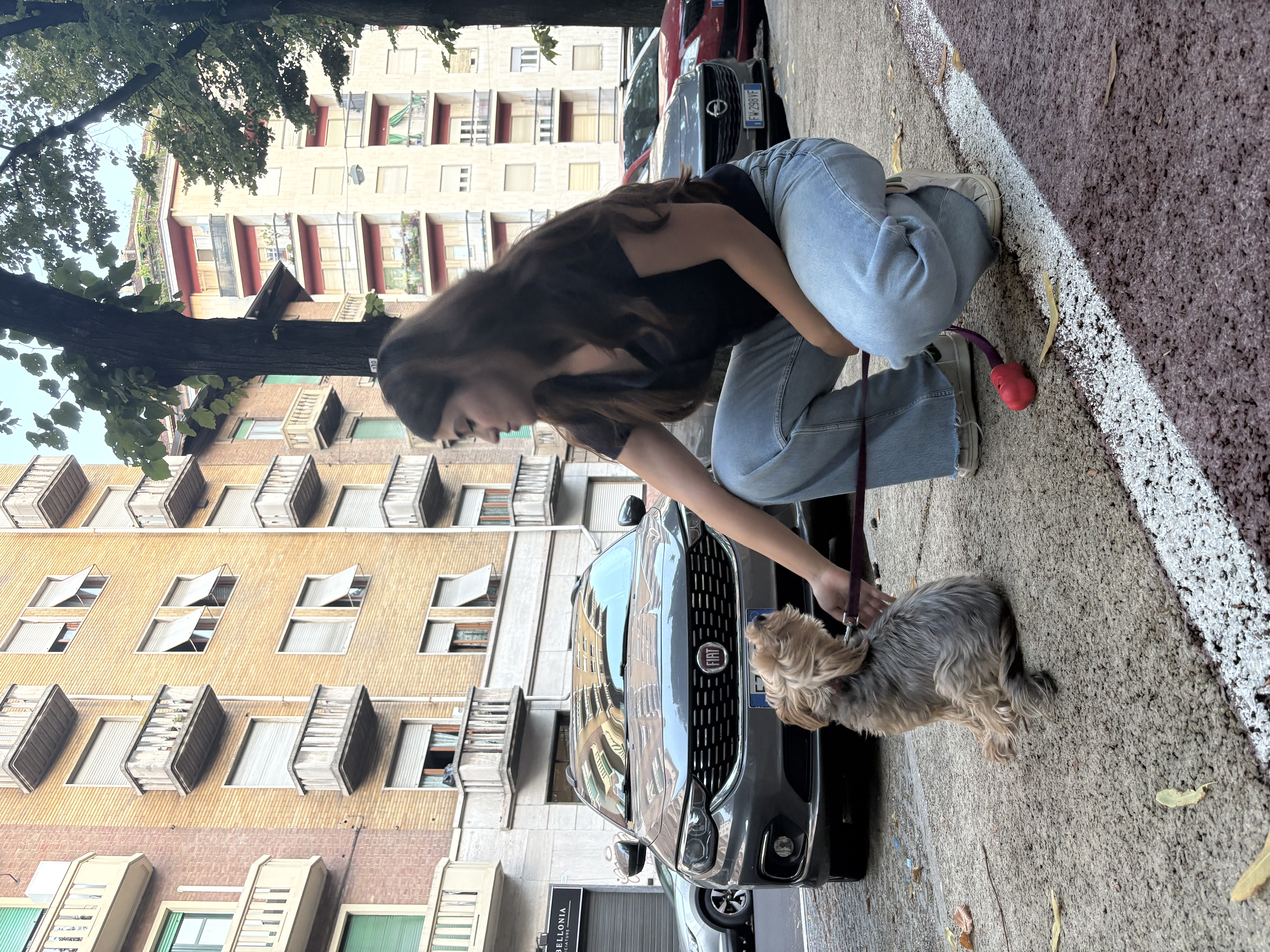 image-9