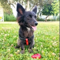 Zoe