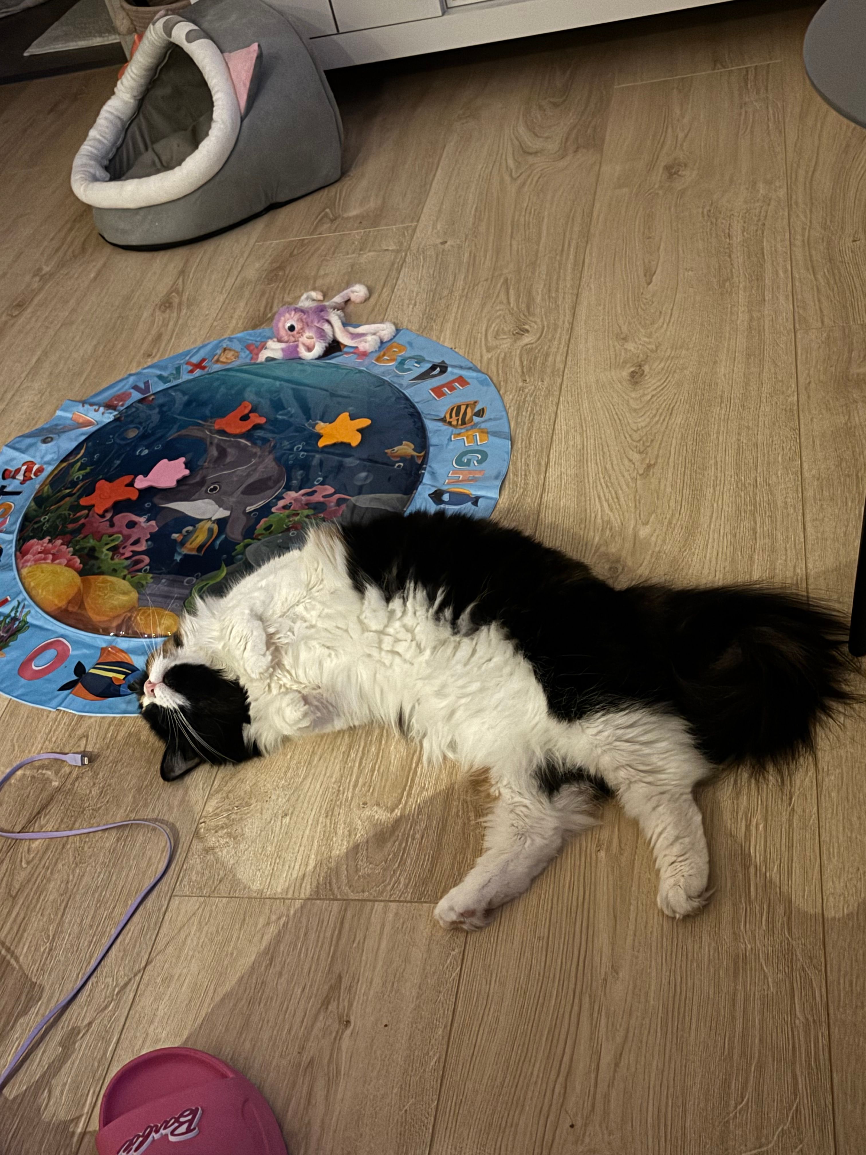 image-11