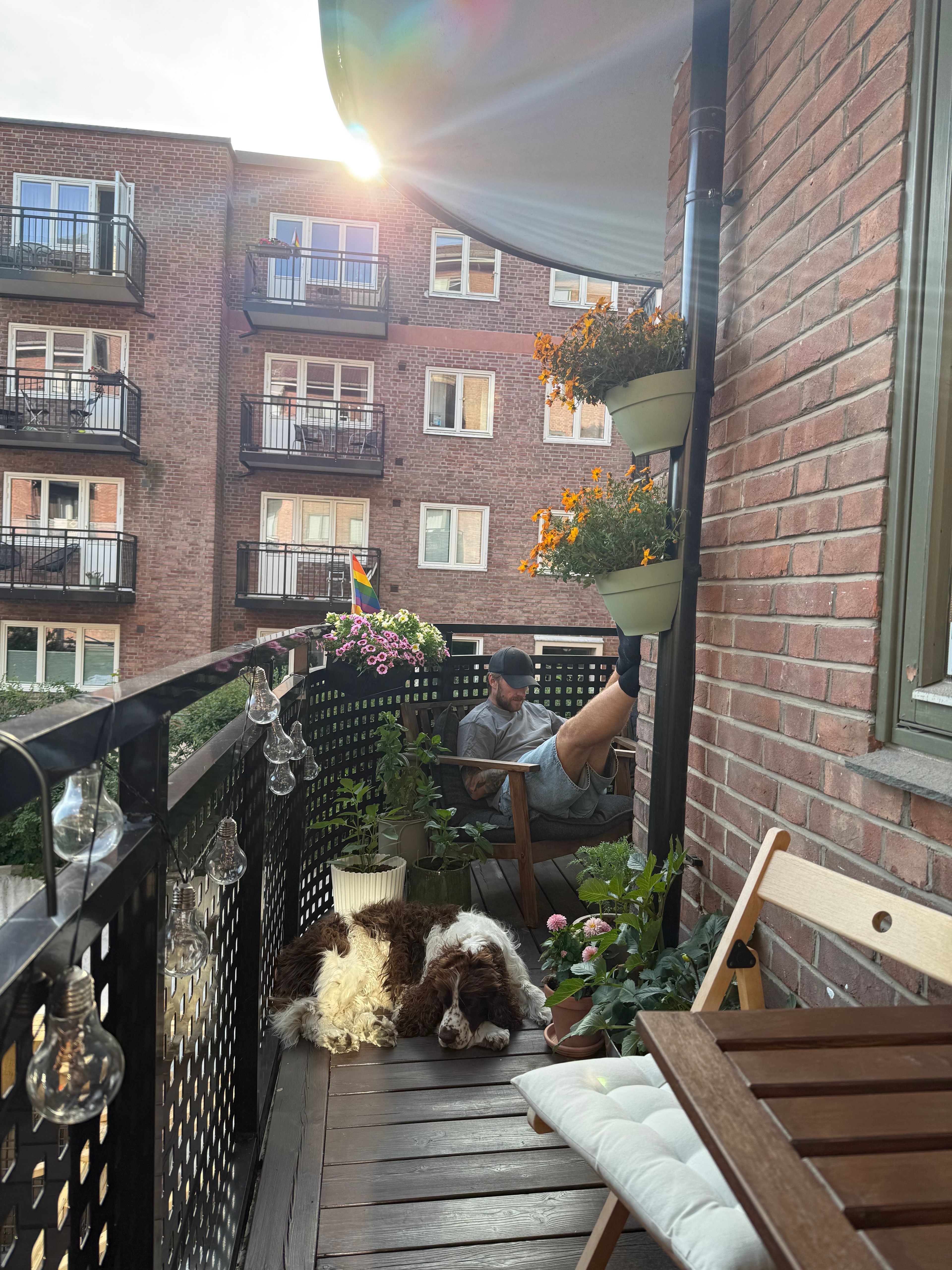 image-17