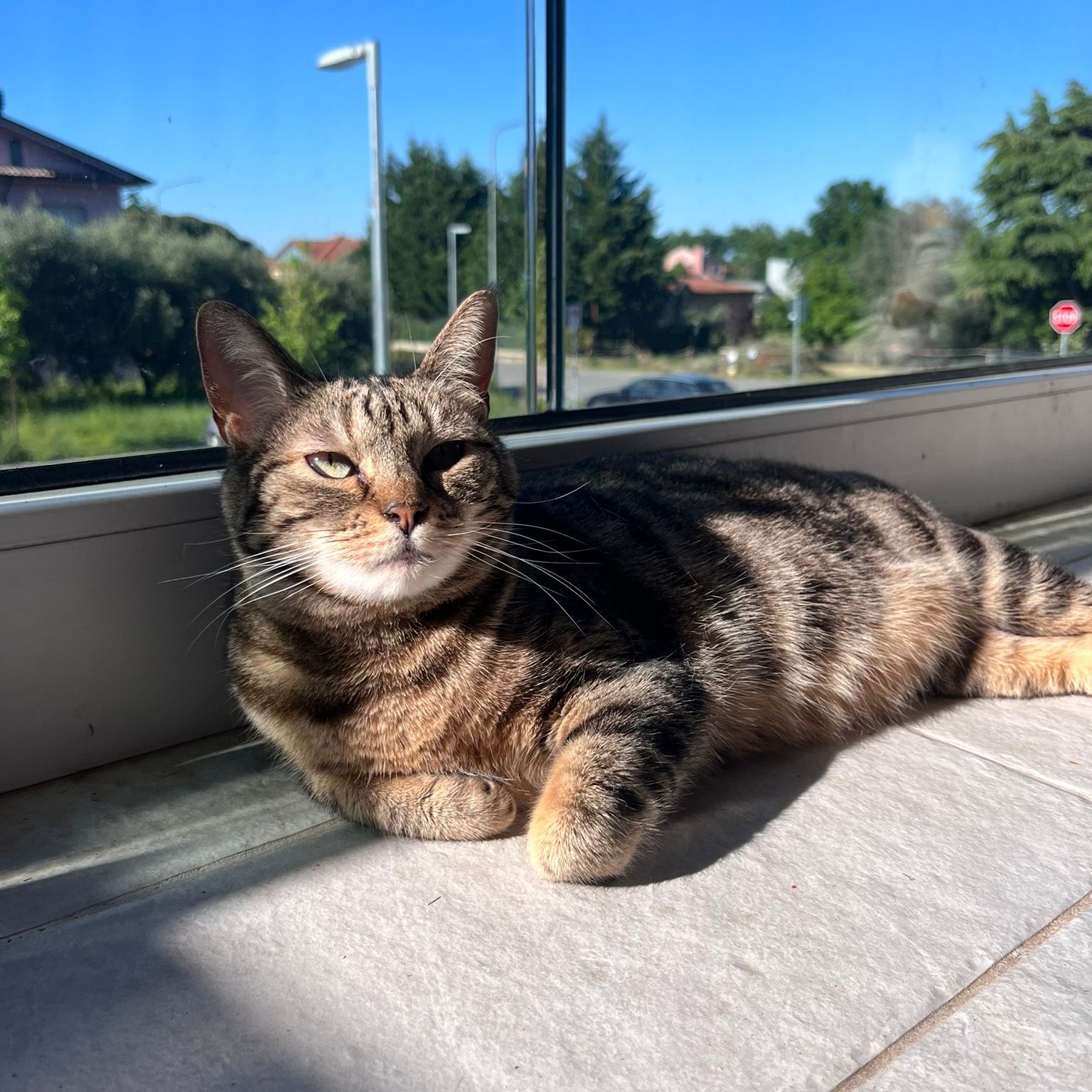 Bijou