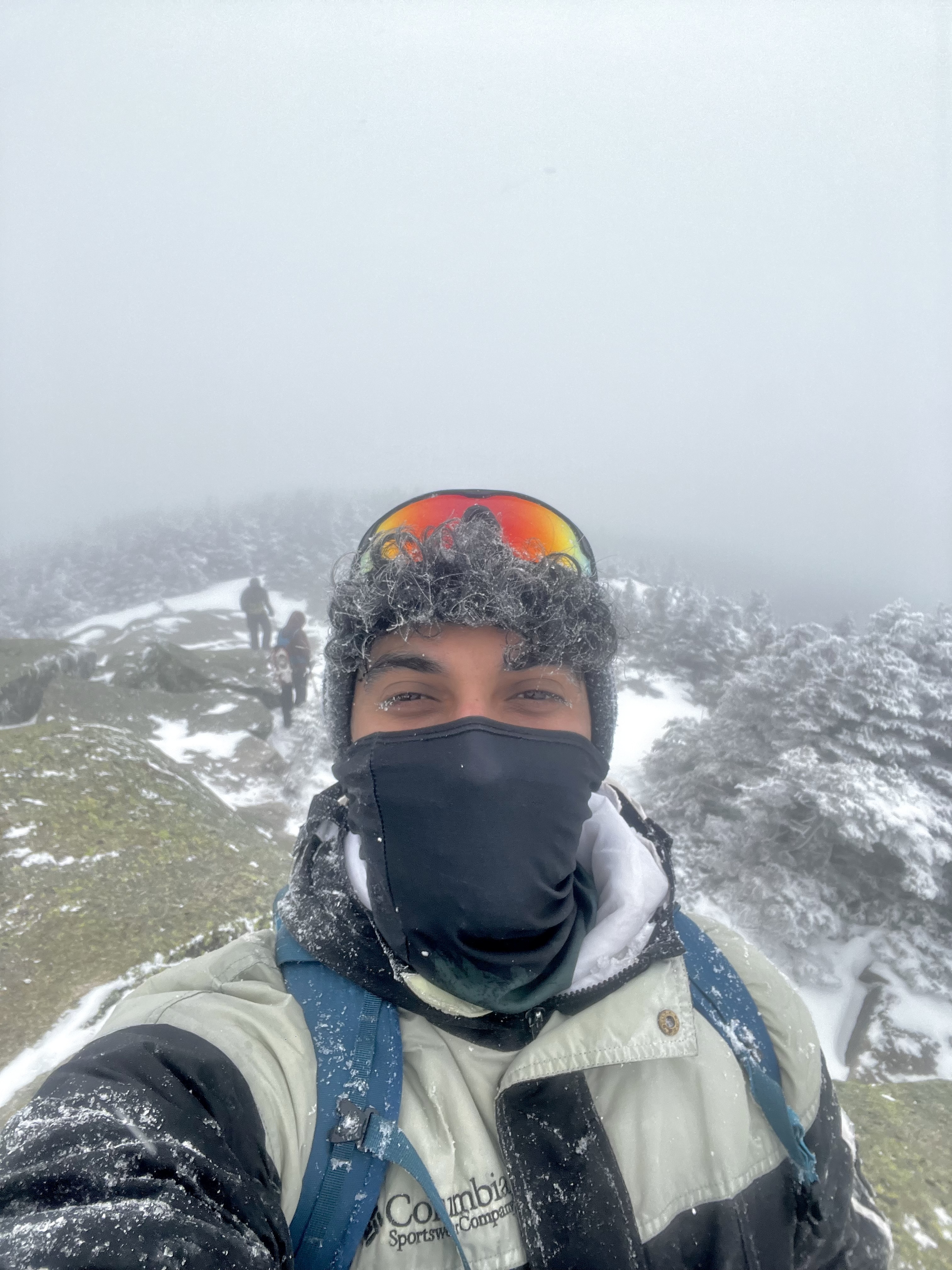 image-7