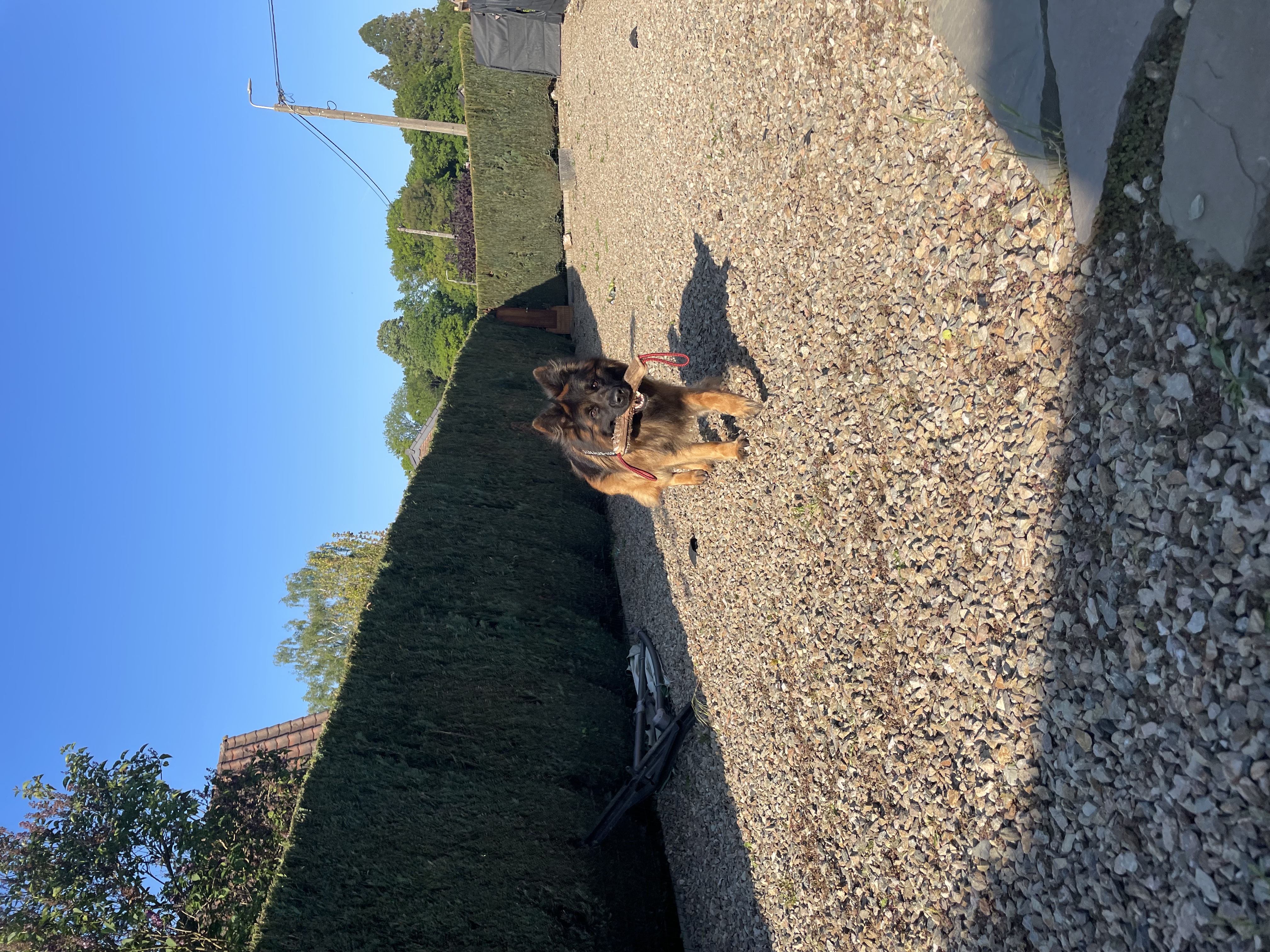 image-6