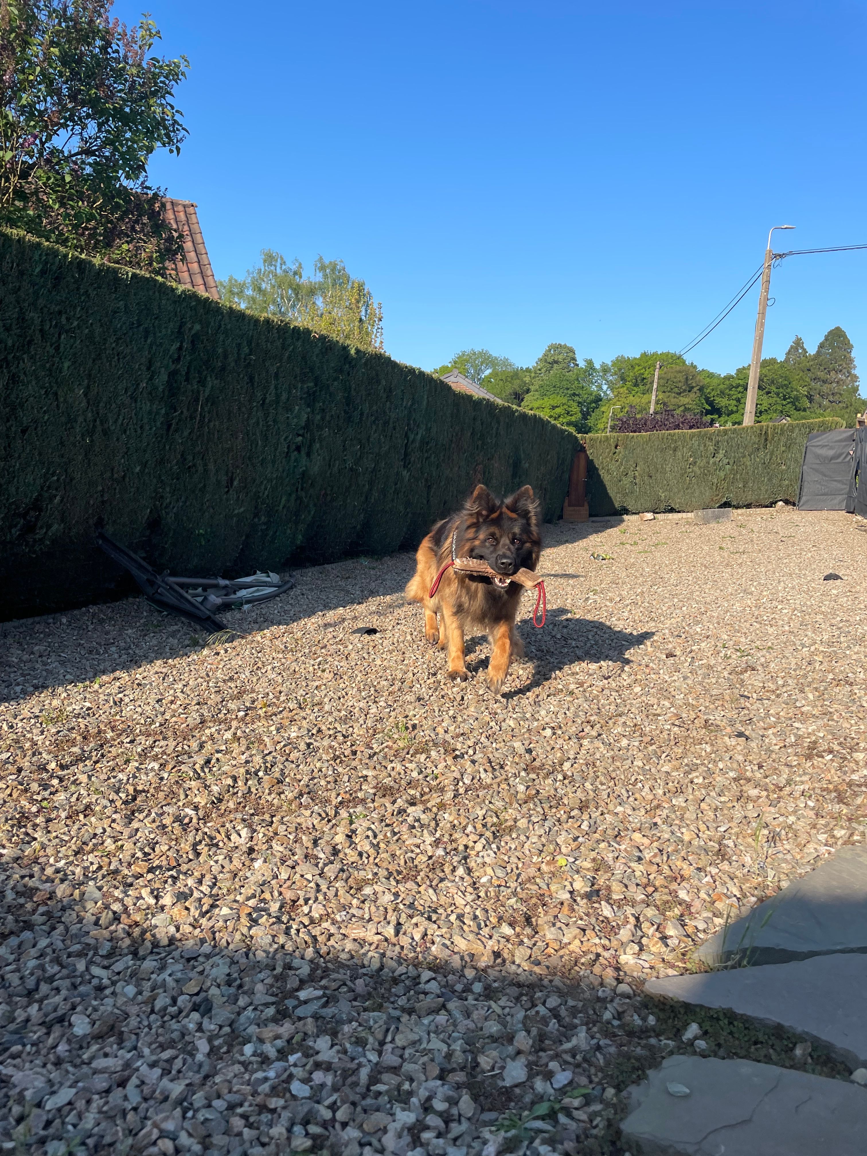 image-6