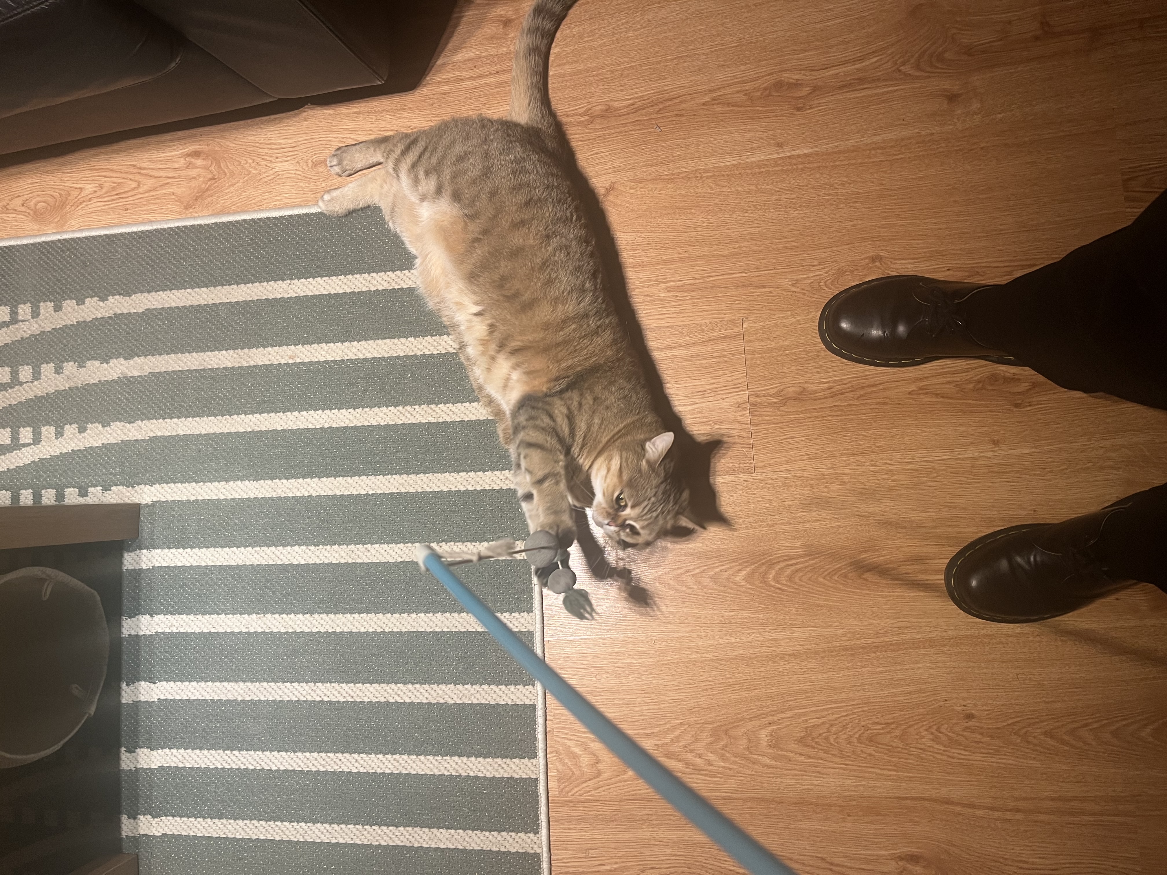 image-8