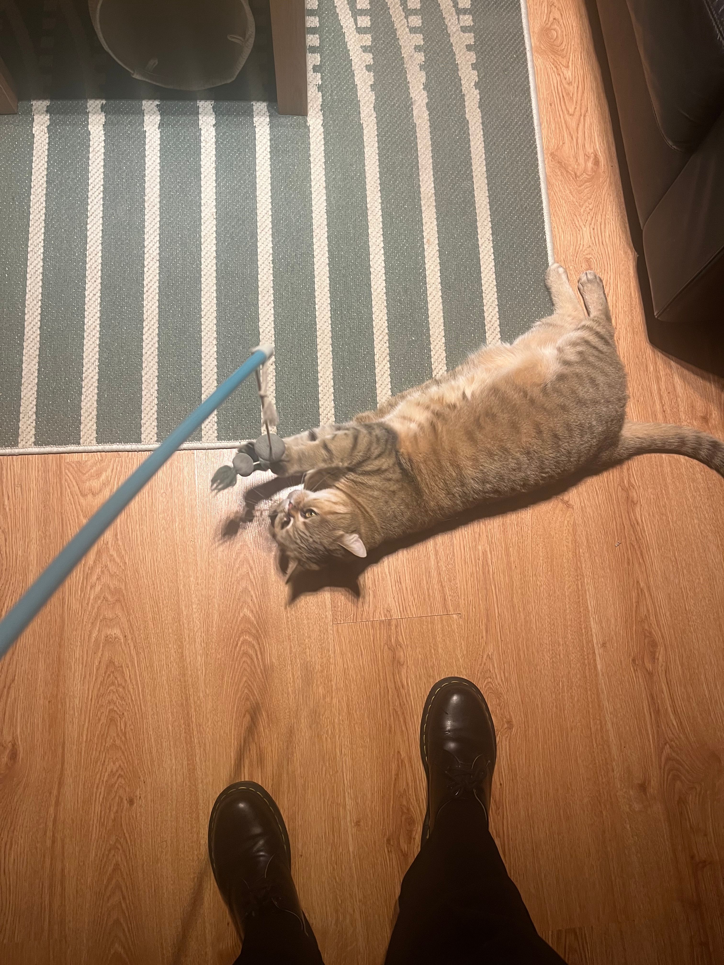 image-8