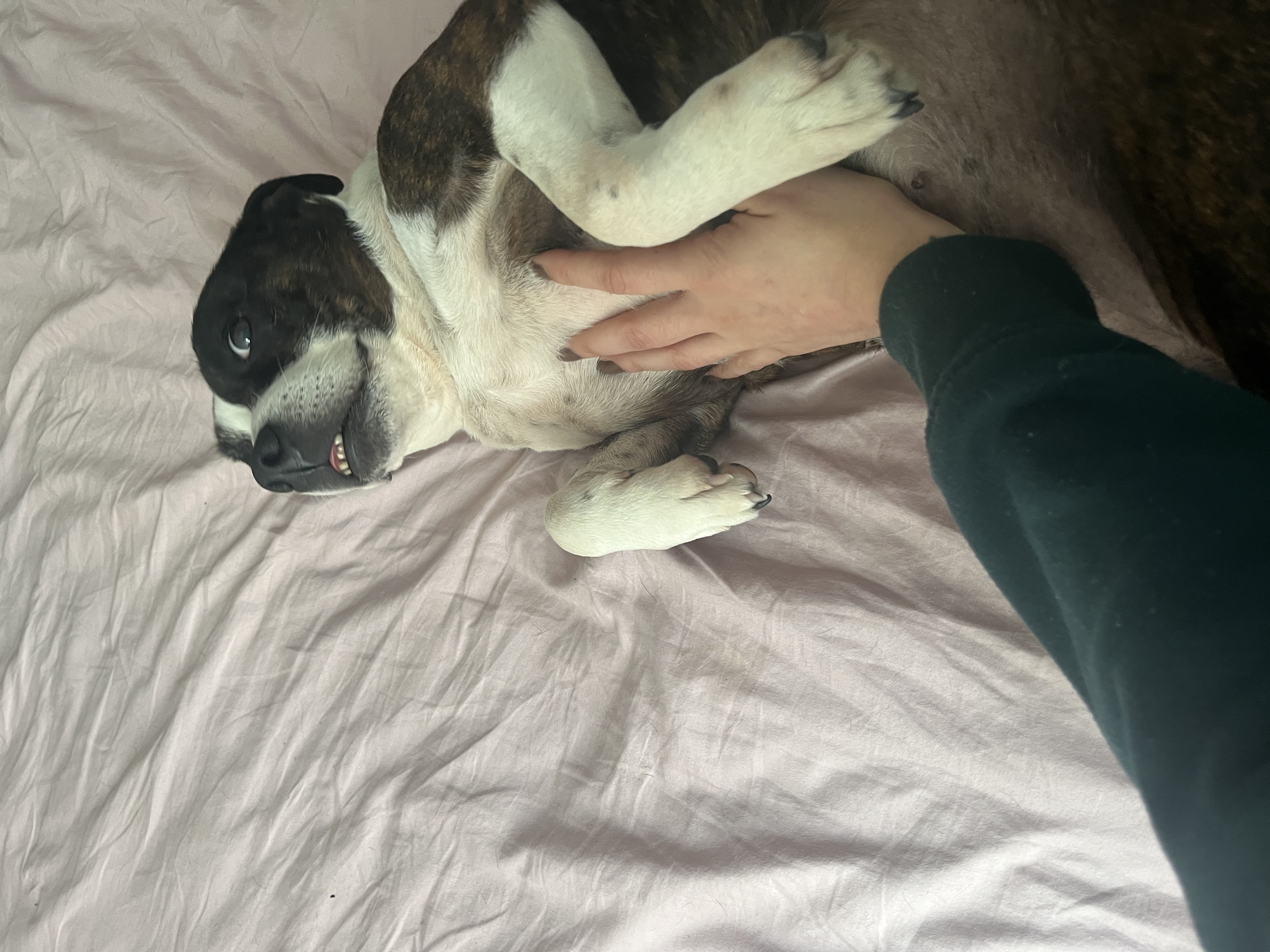 image-7