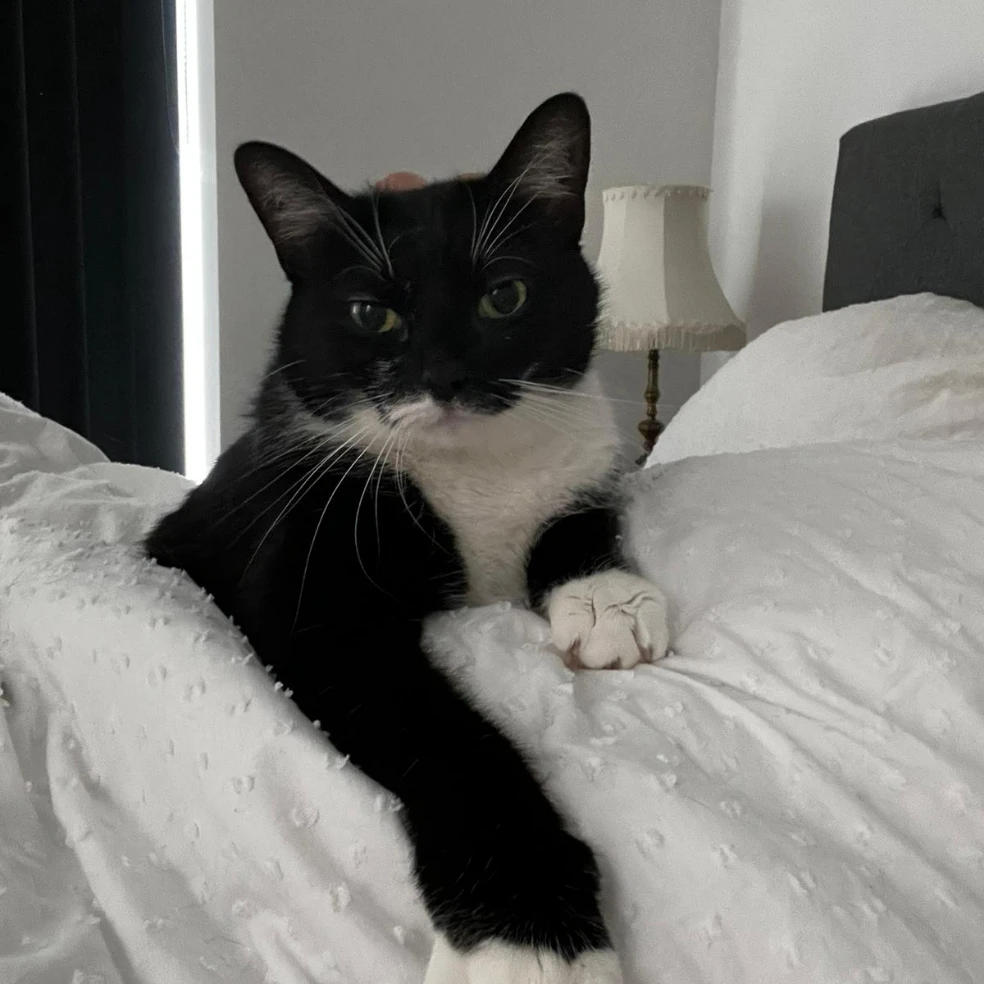 Ulla