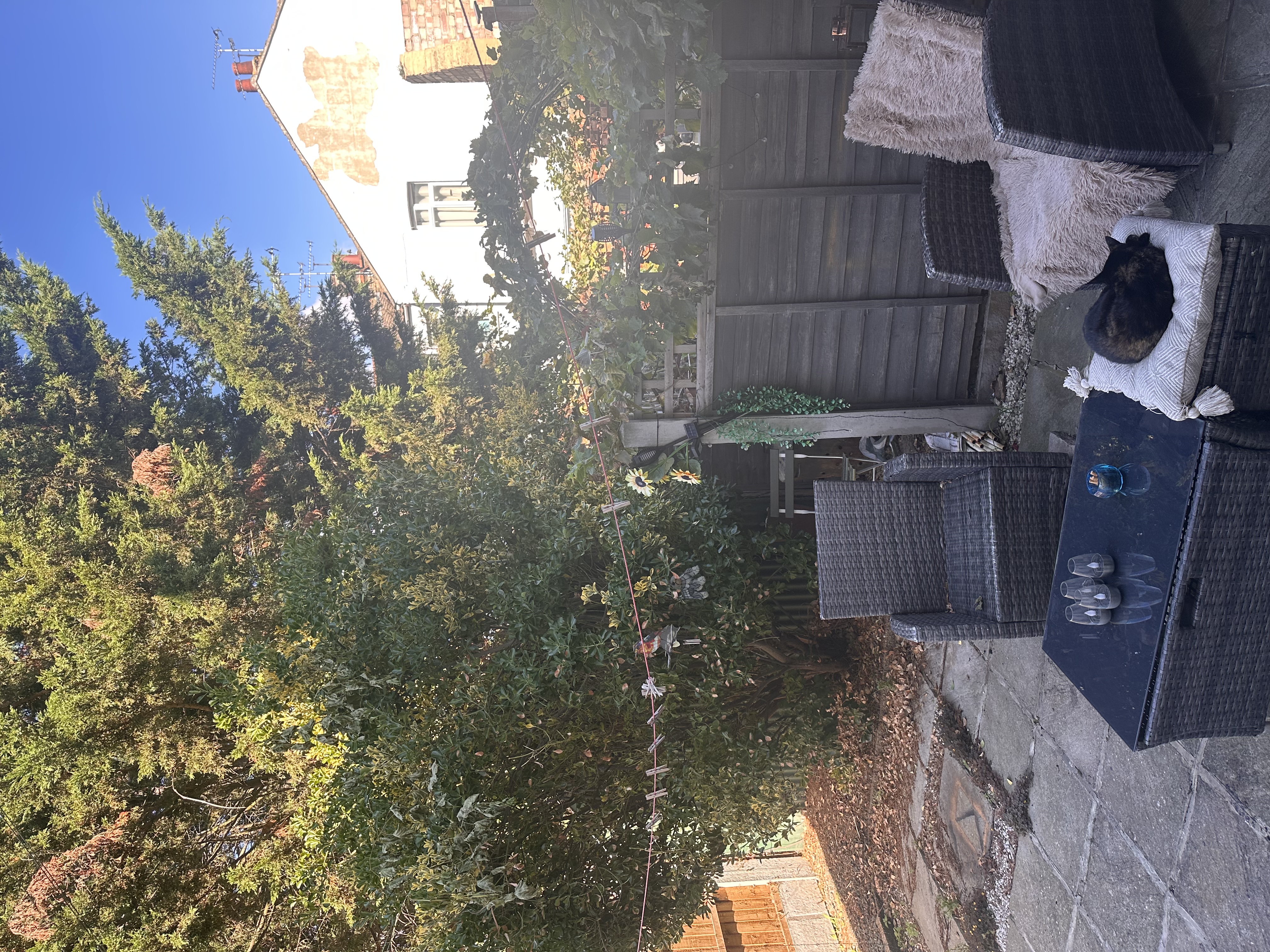 image-18