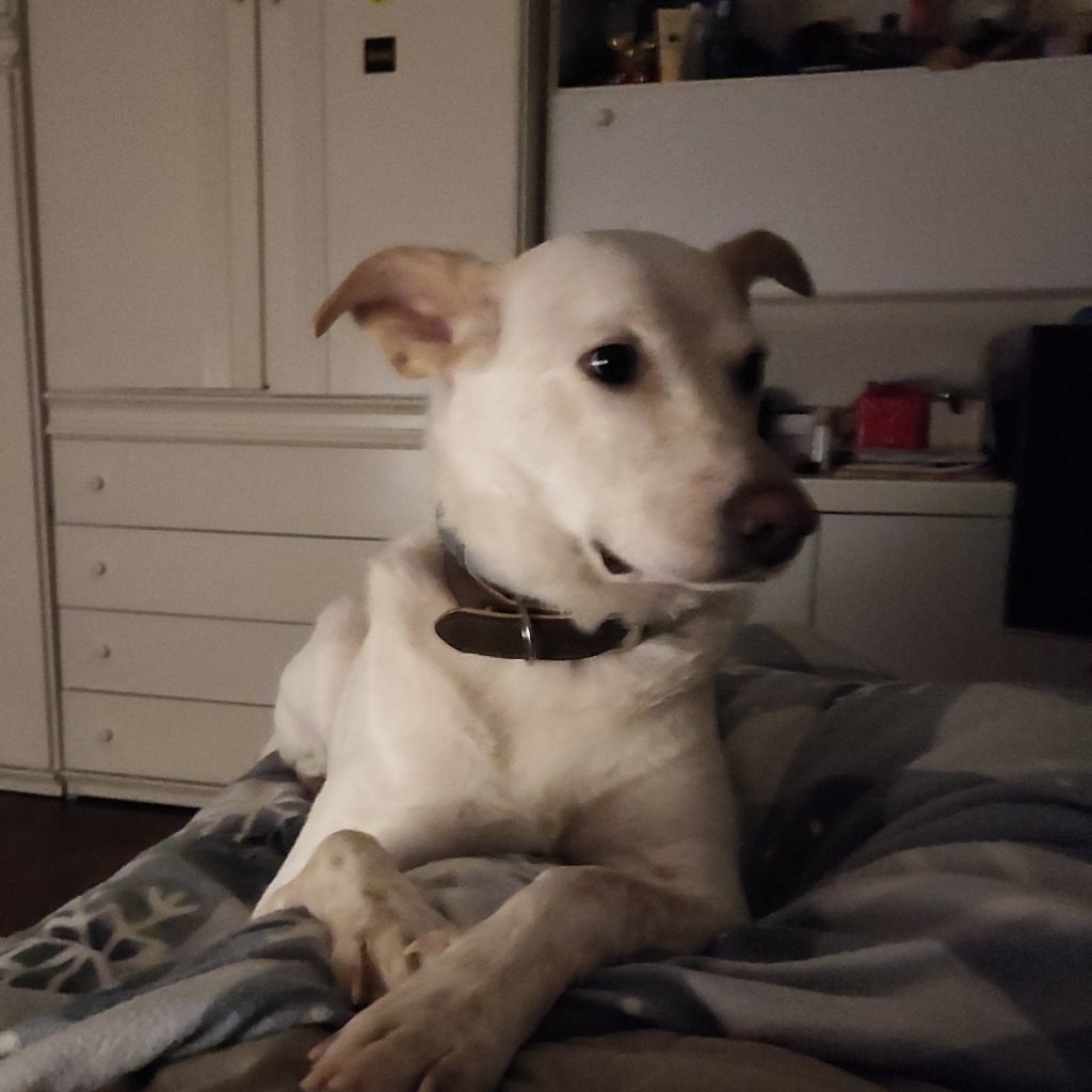 Nora