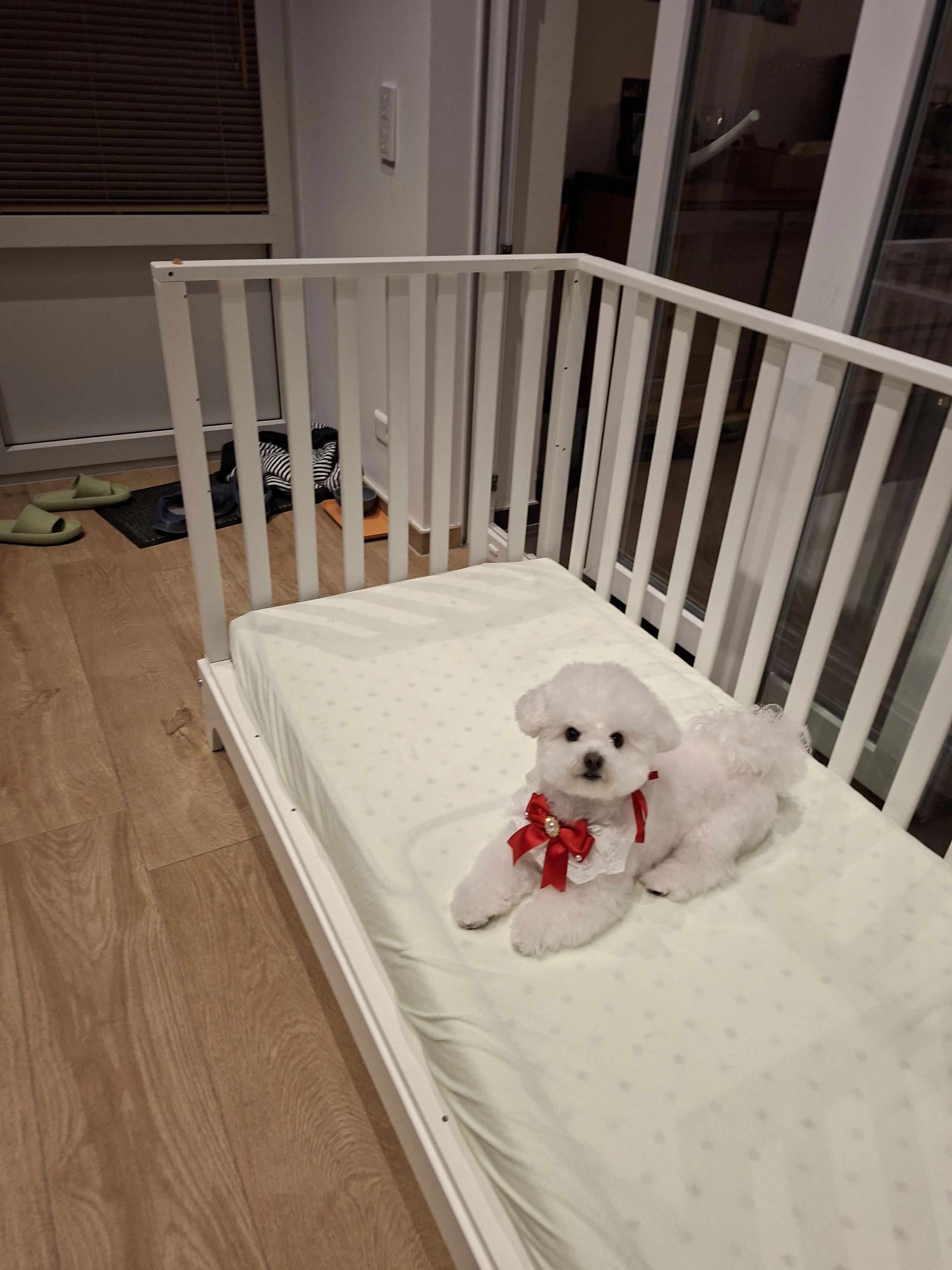 image-17