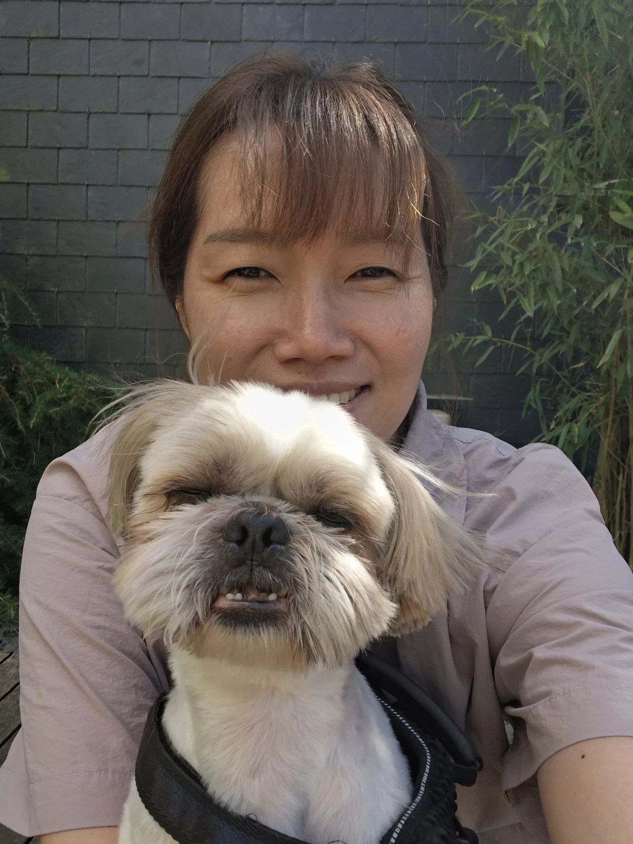 image-0
