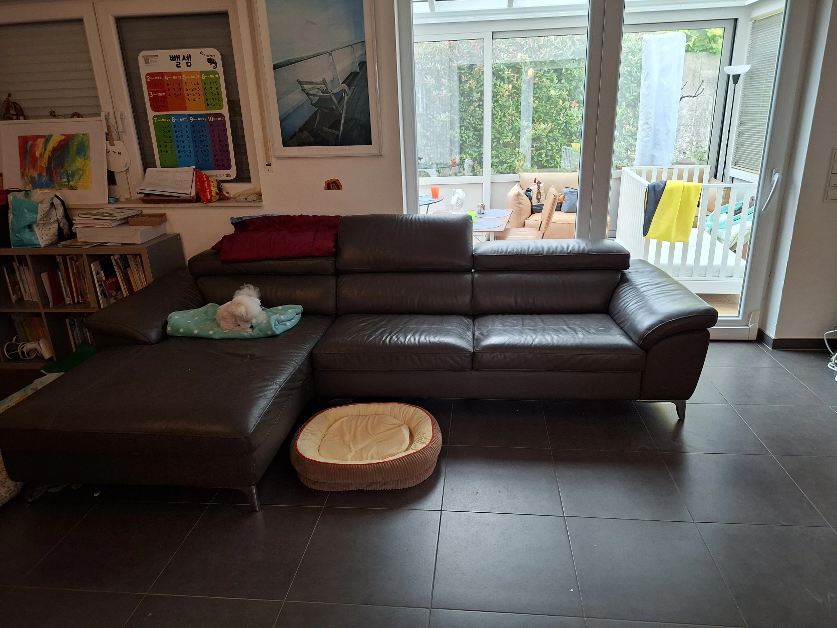 image-19