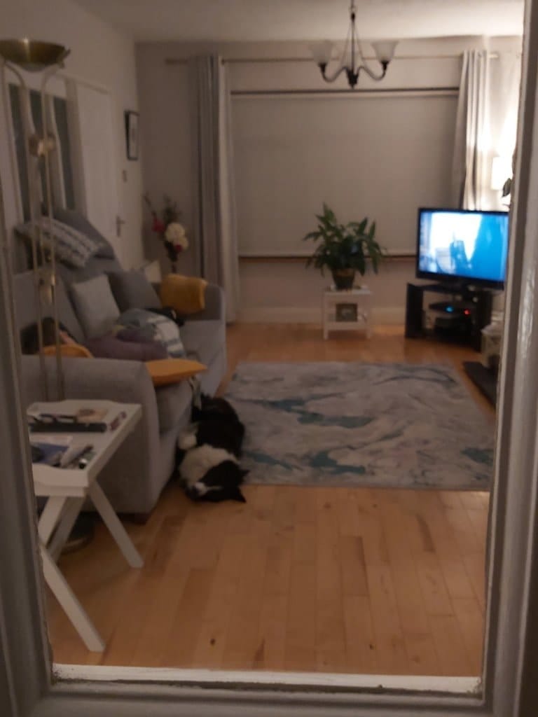 image-12