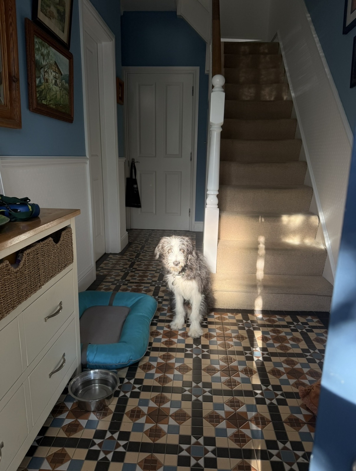 image-11