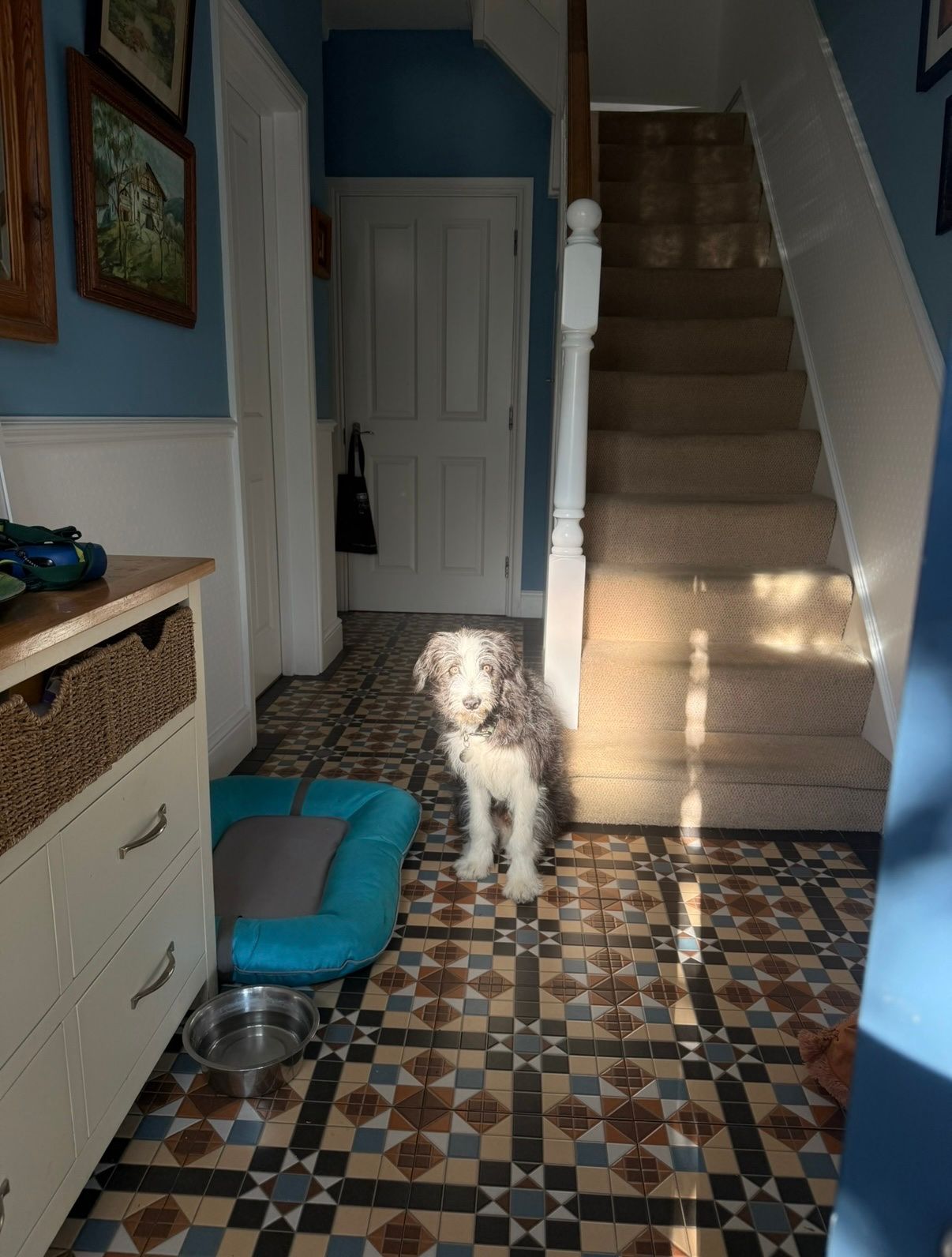 image-11