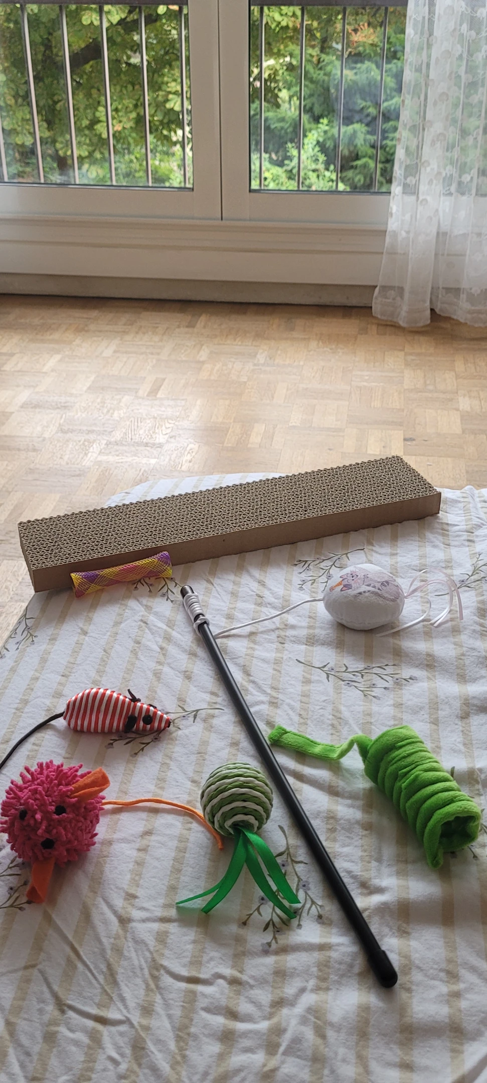image-9