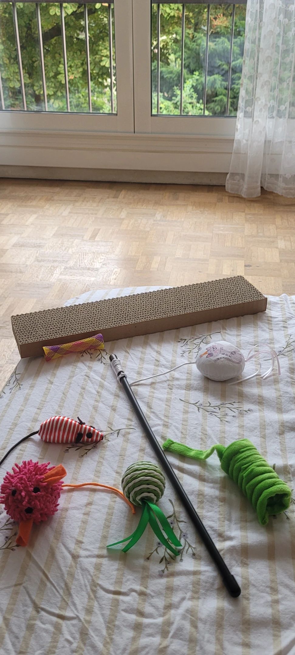 image-9