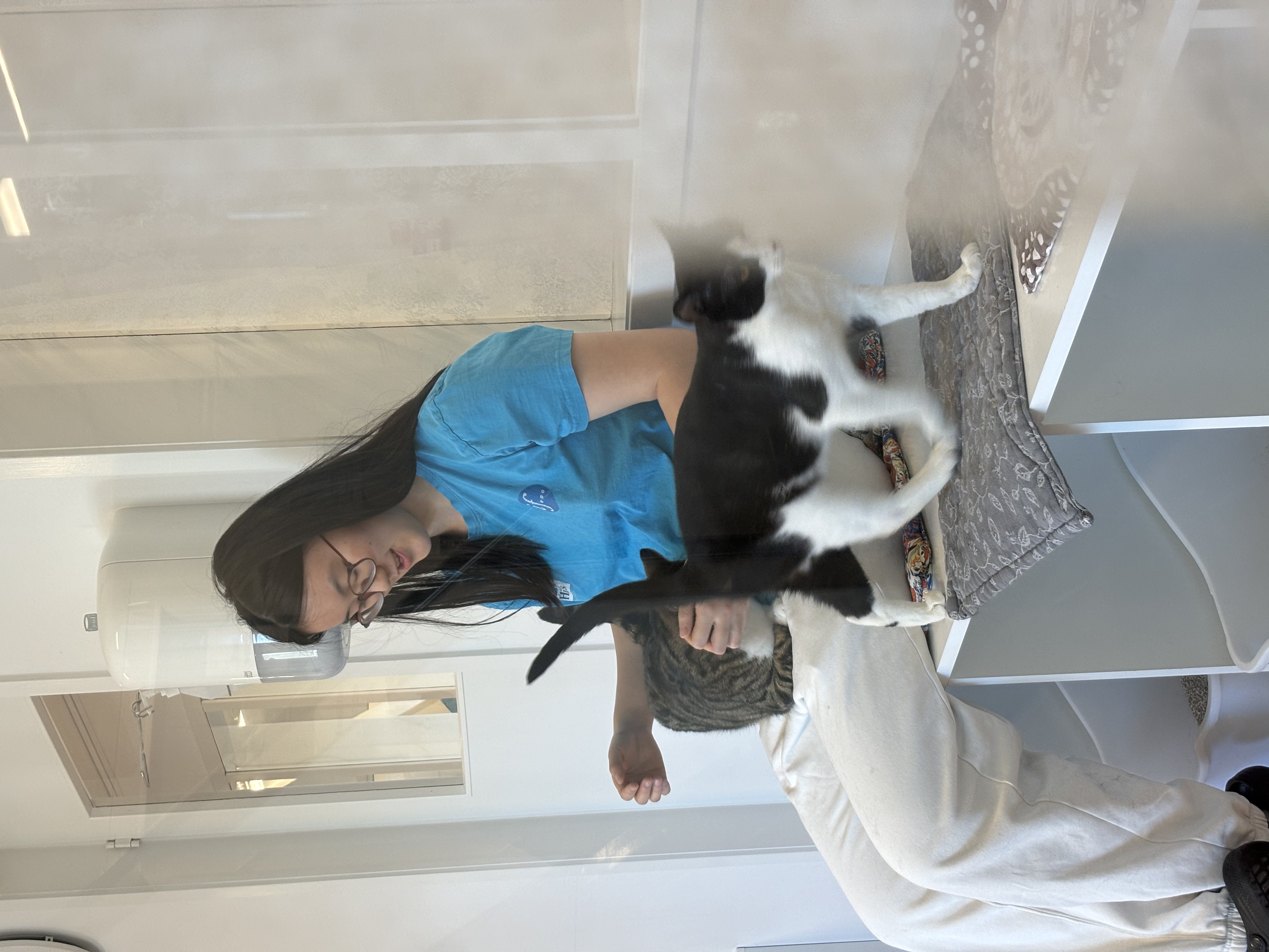 image-8
