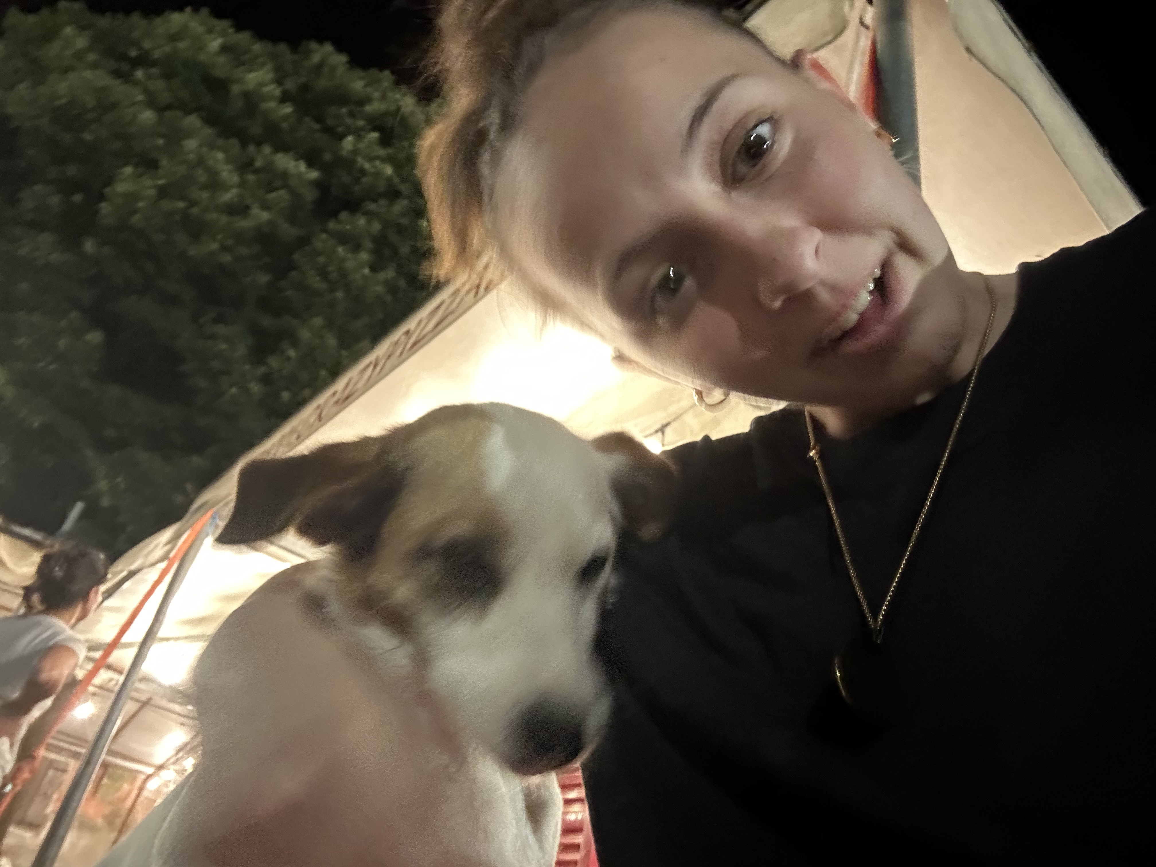 image-8