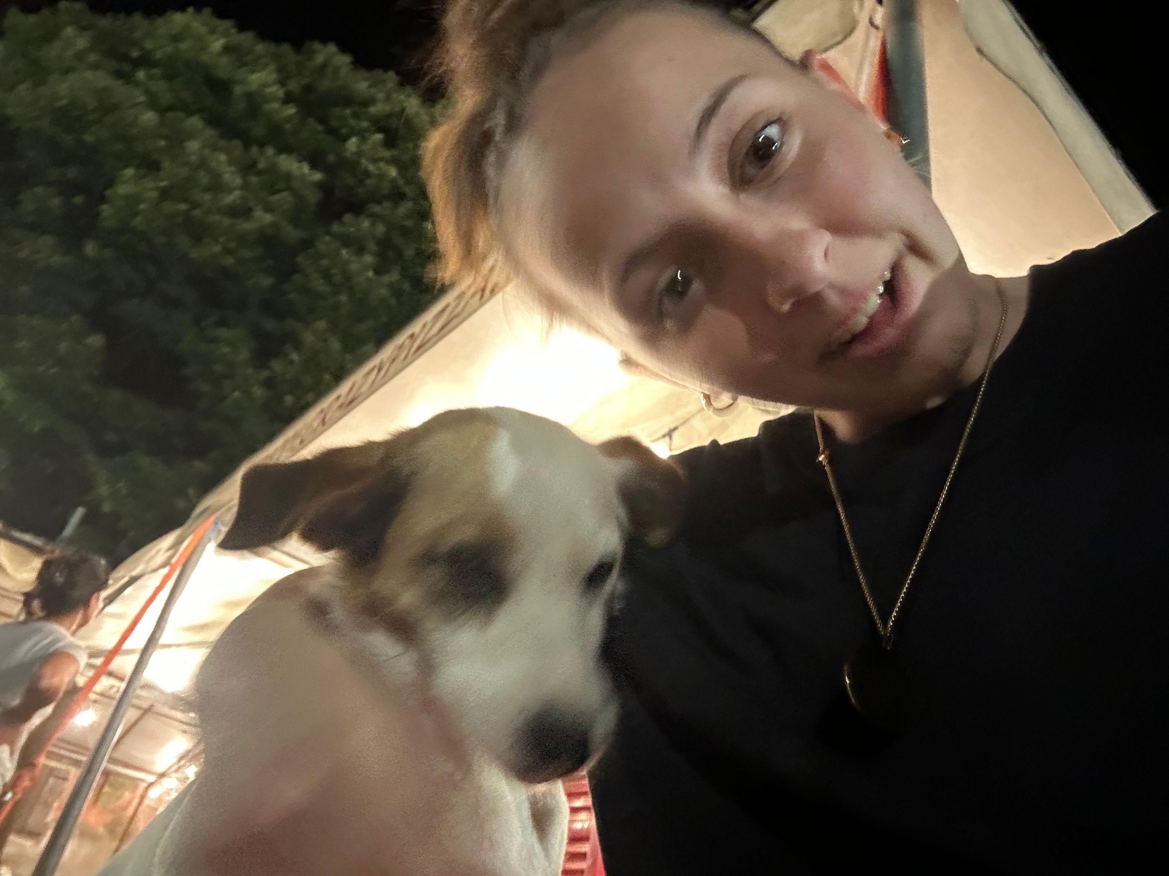 image-8