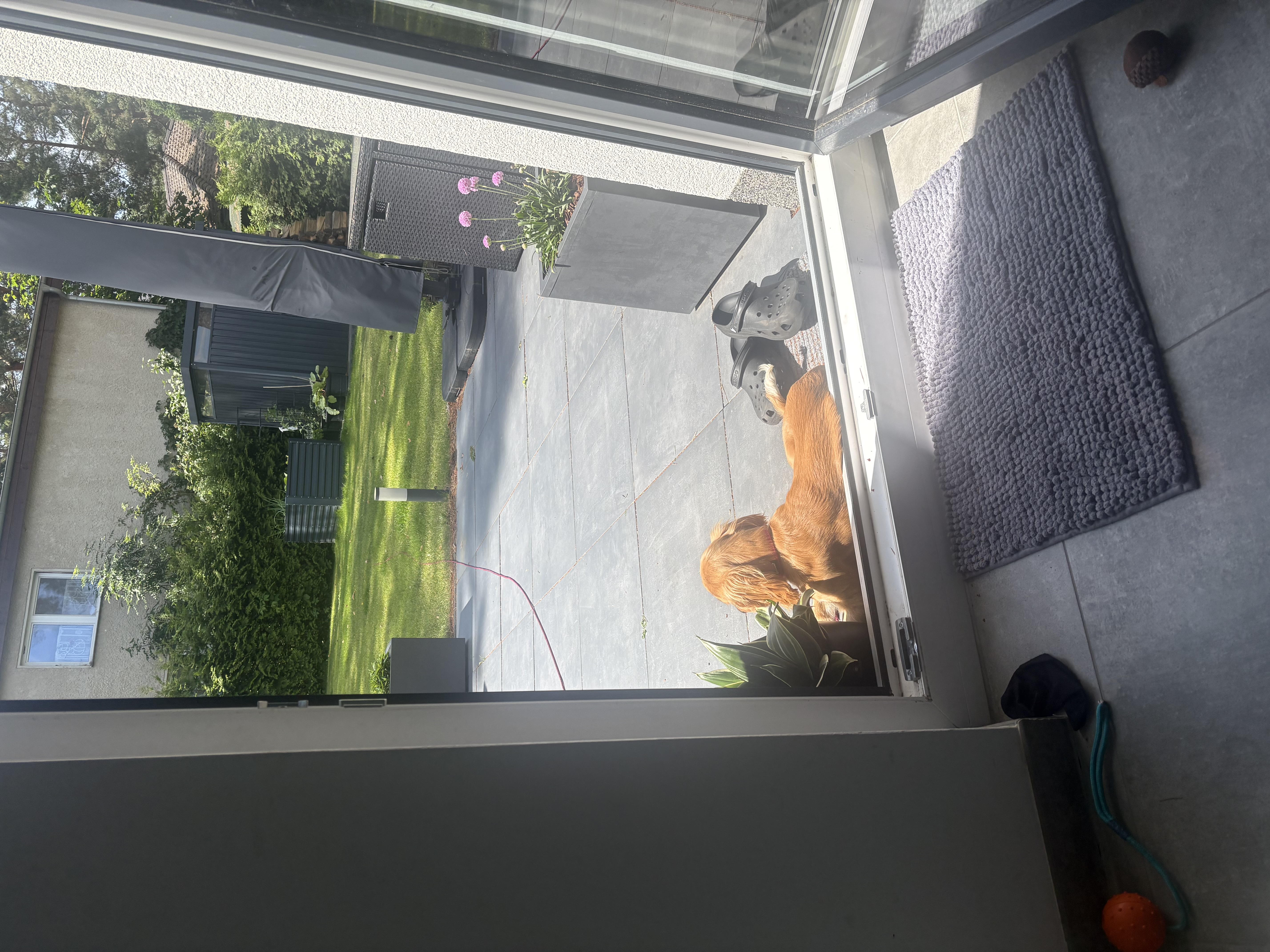 image-16