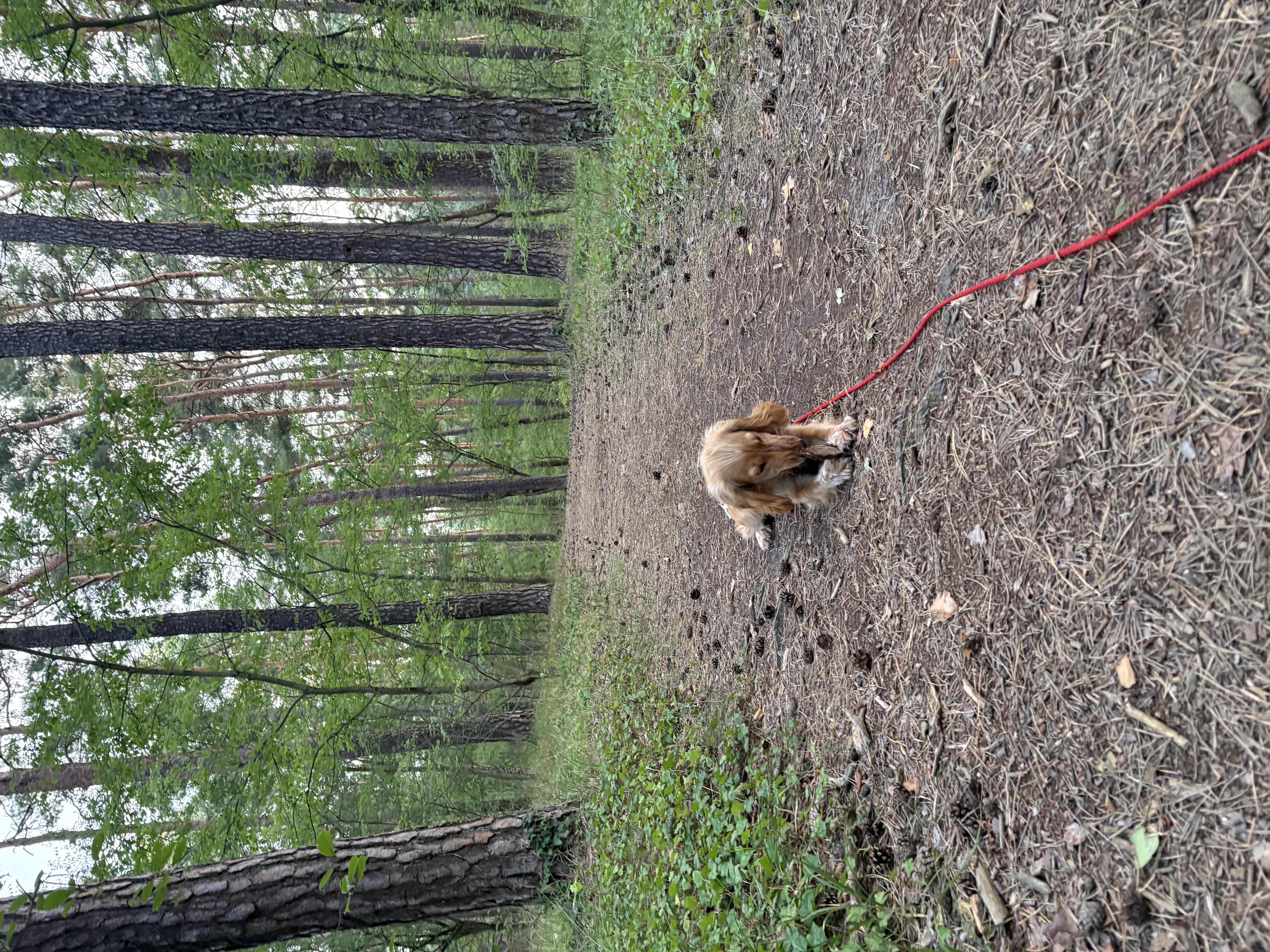 image-14