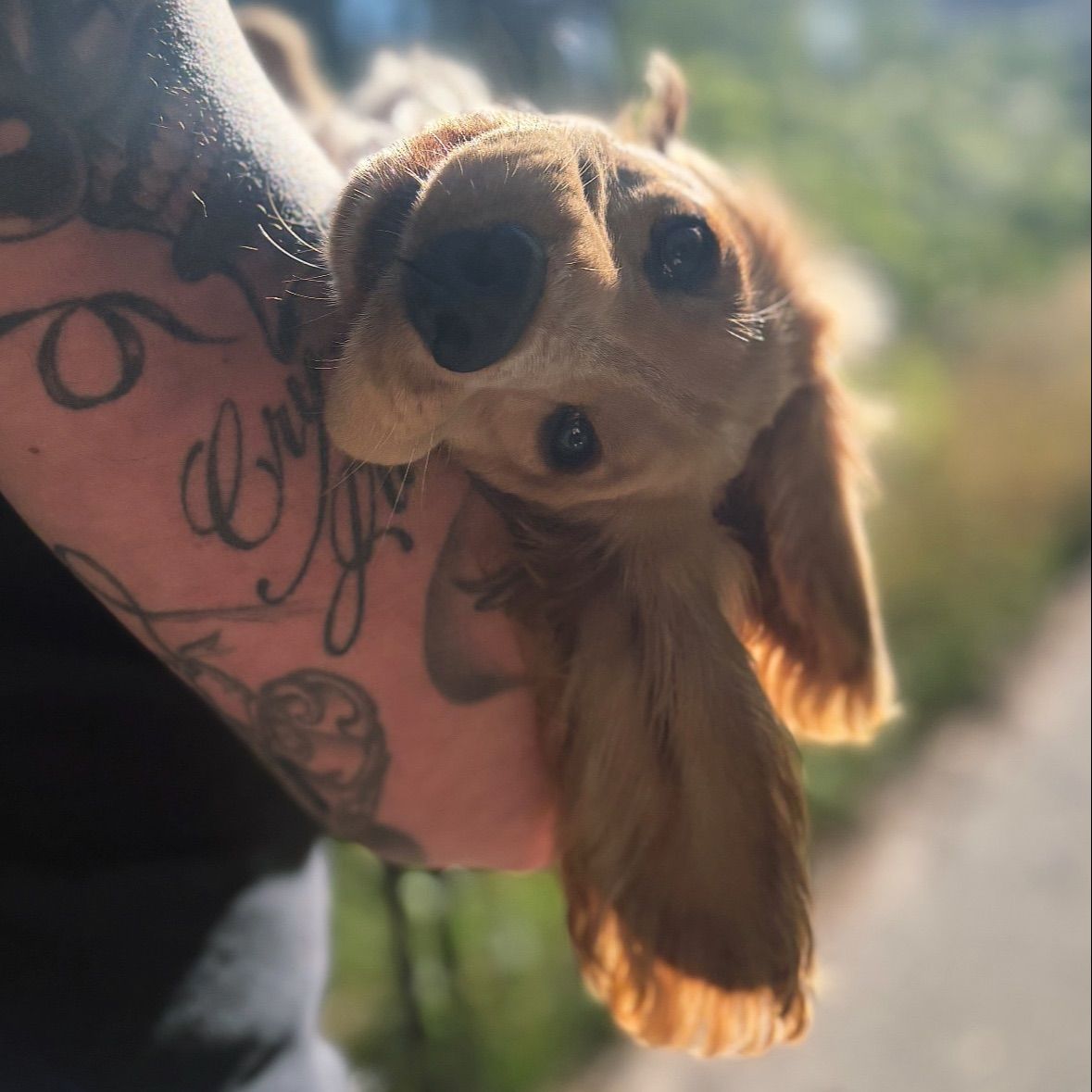 Chloe