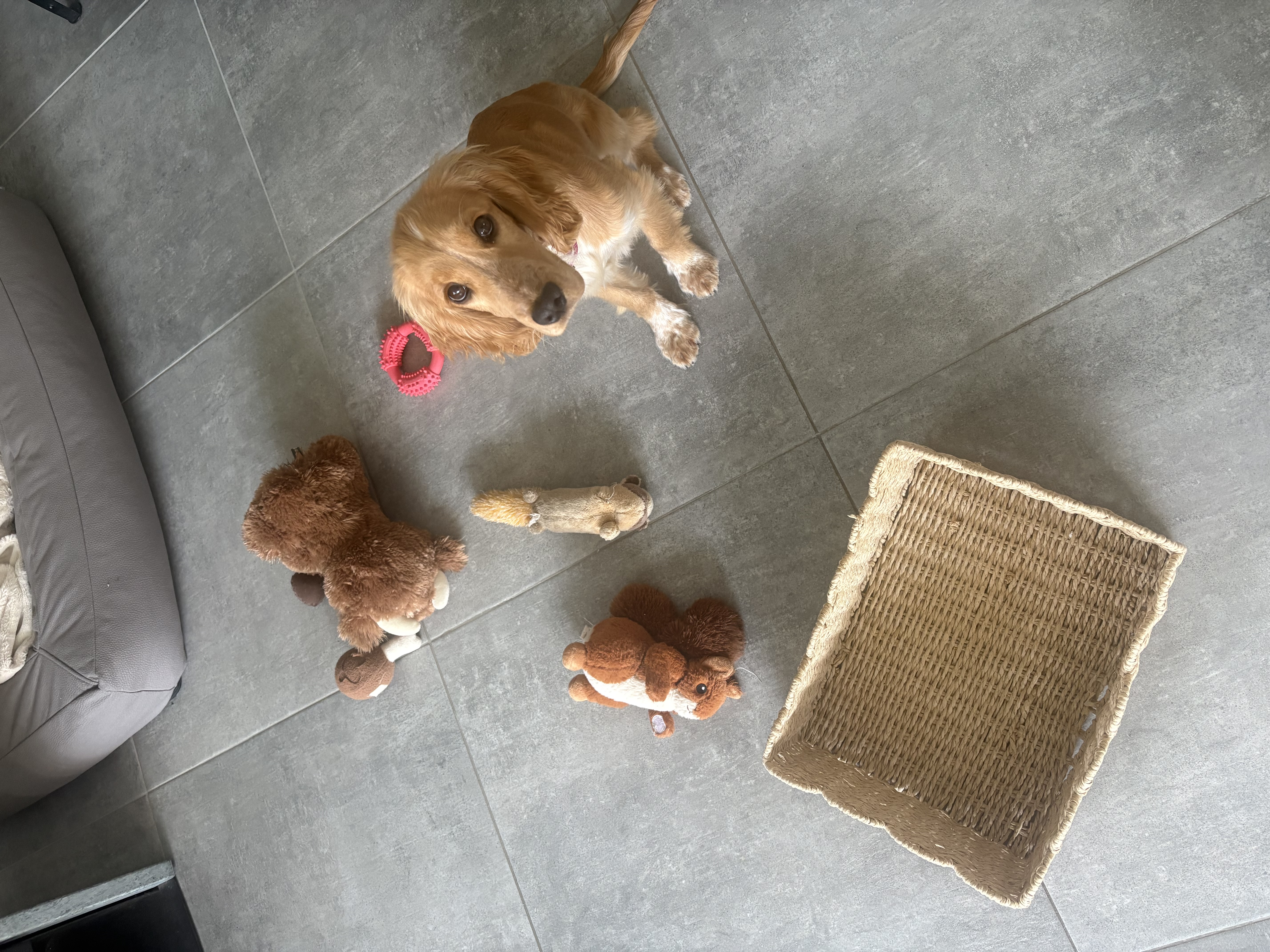 image-9