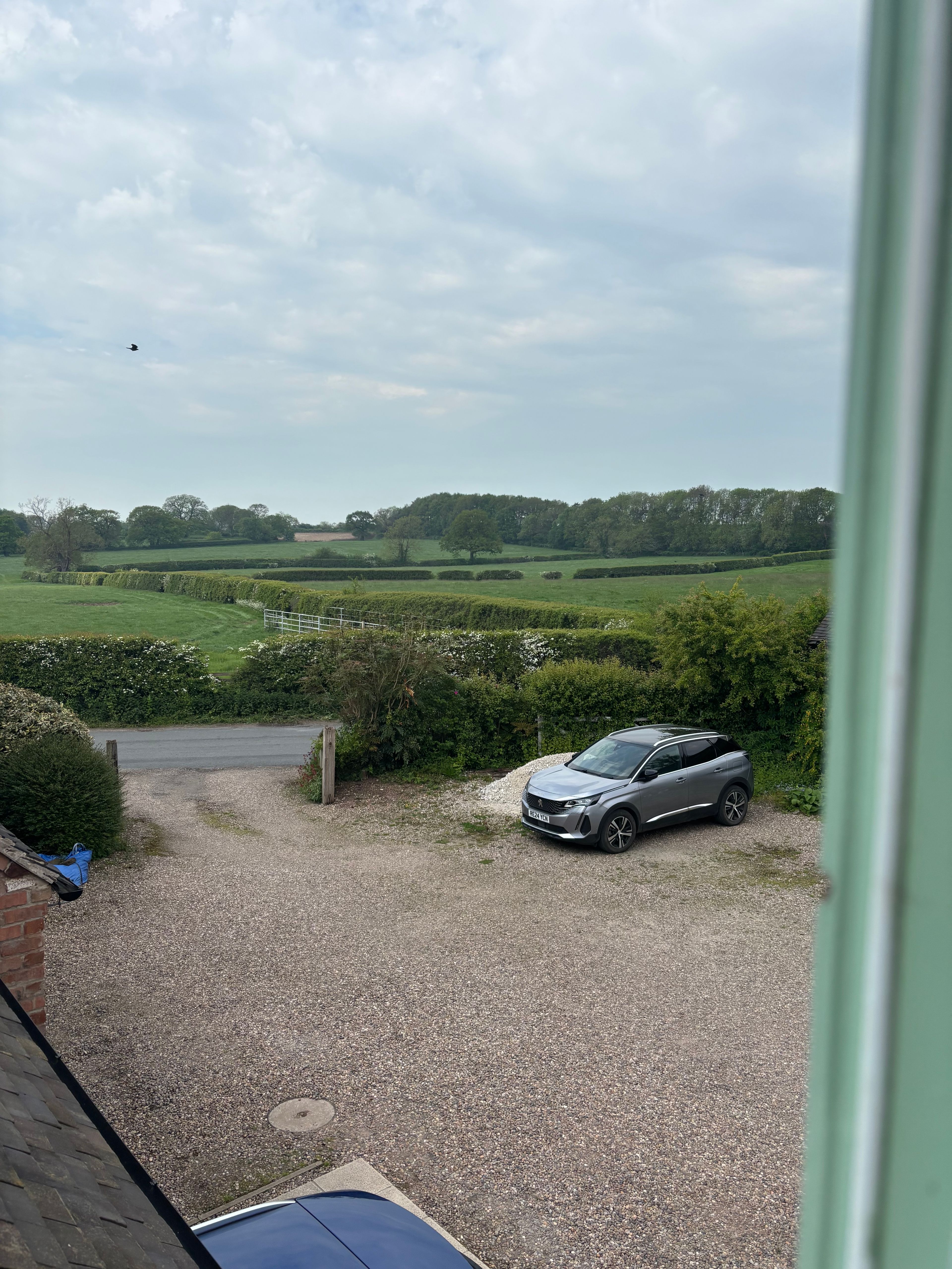 image-6