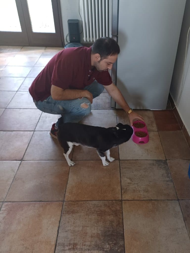 image-15