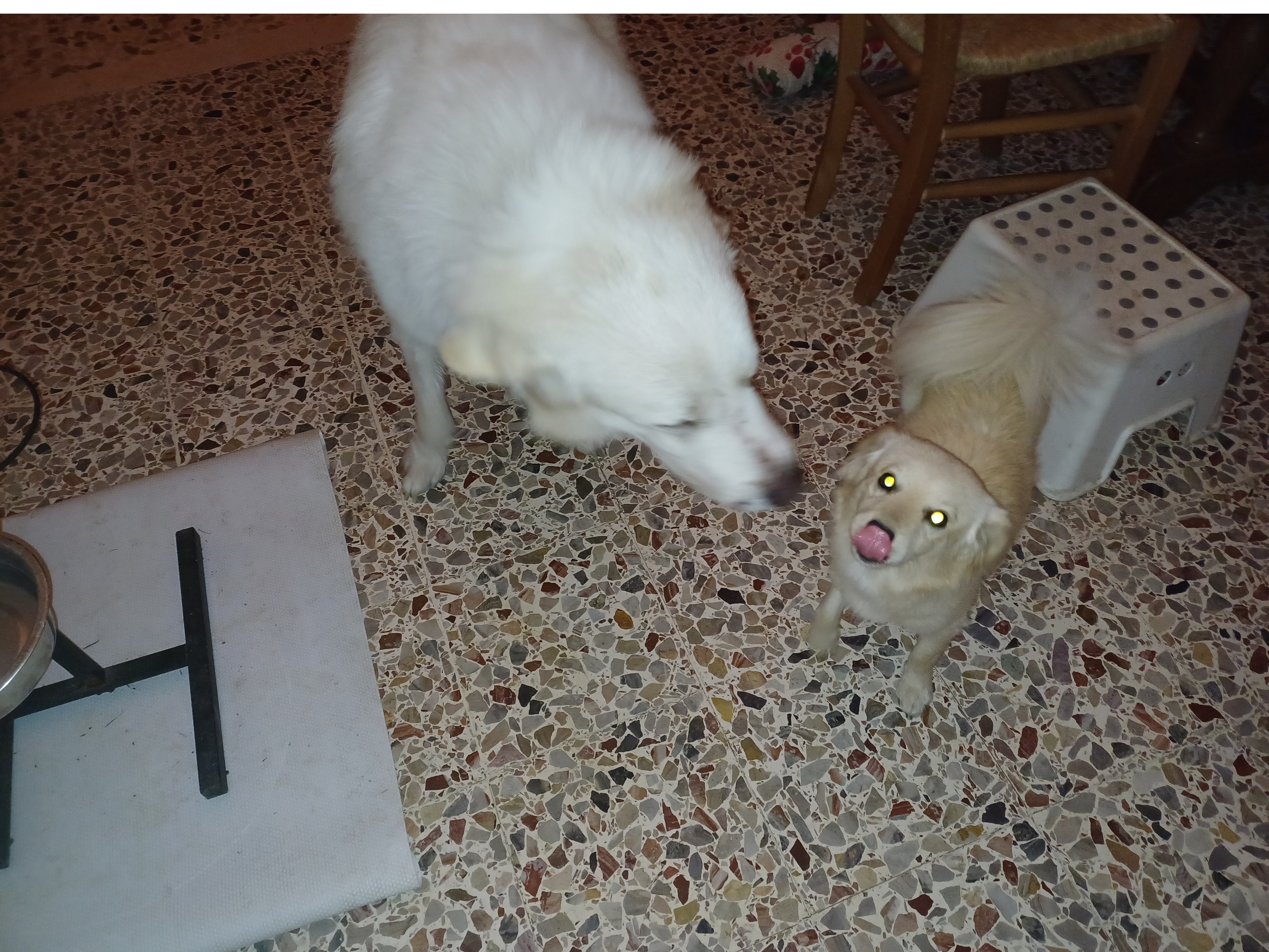 image-7