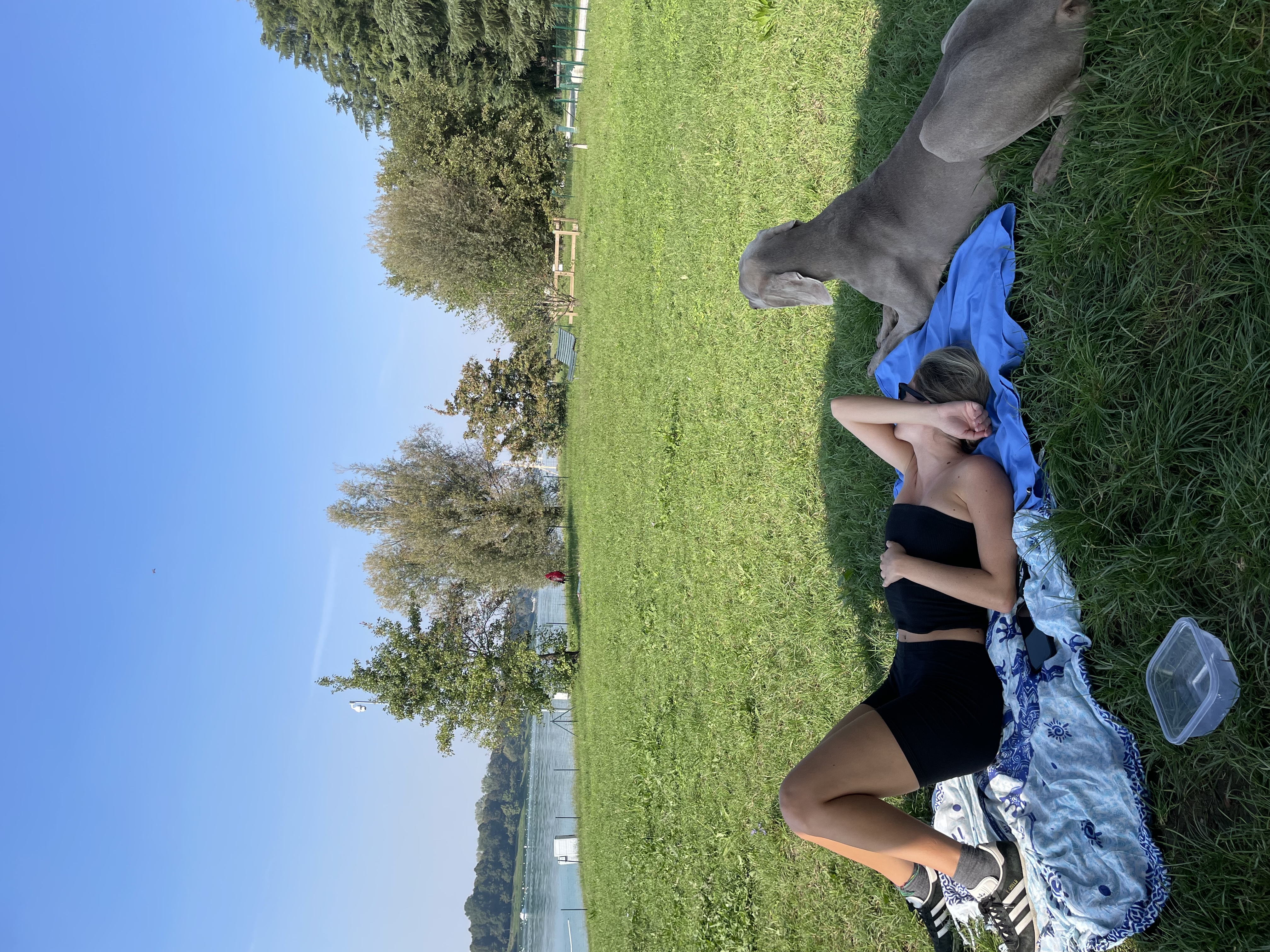image-8