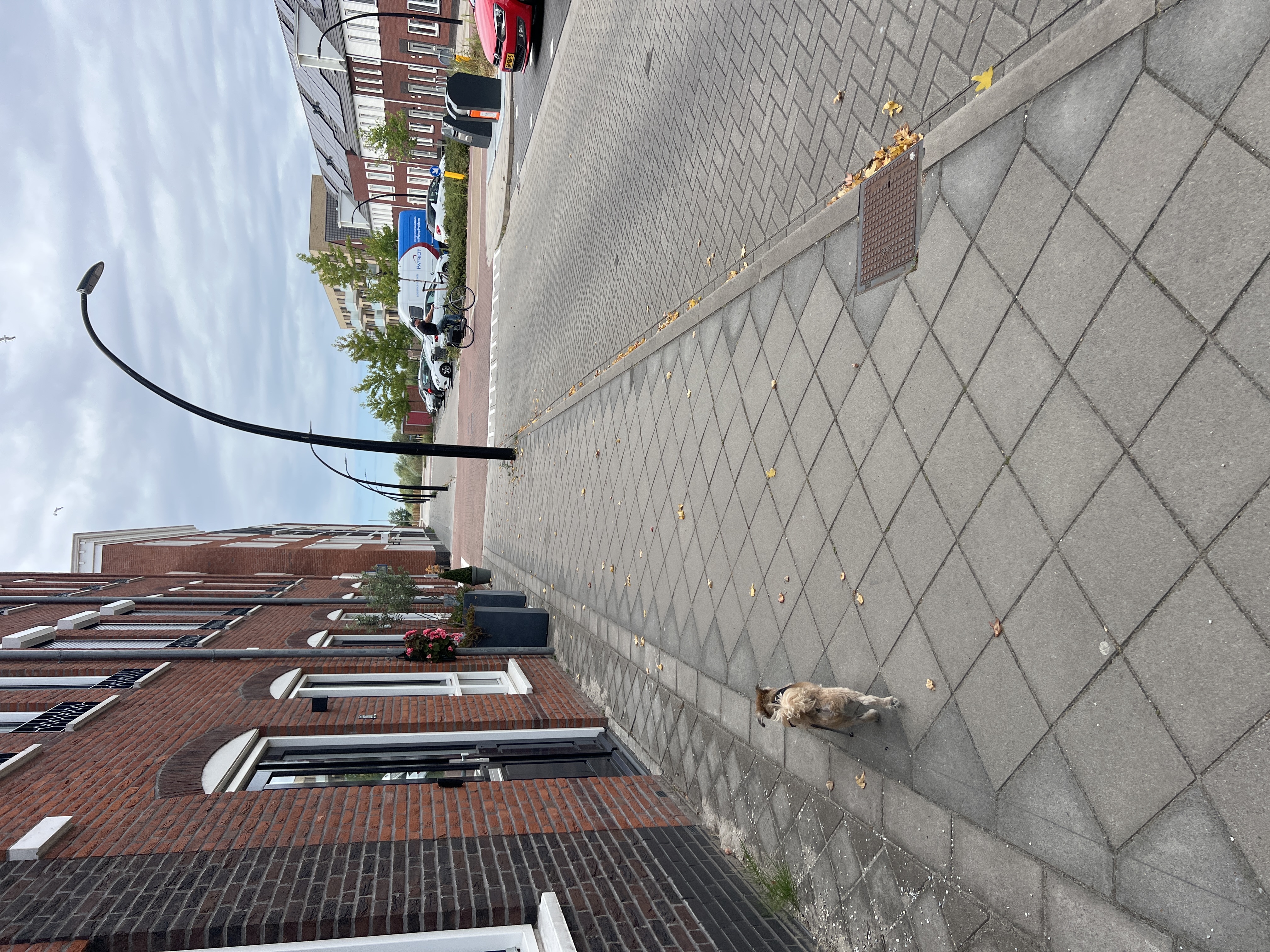 image-12