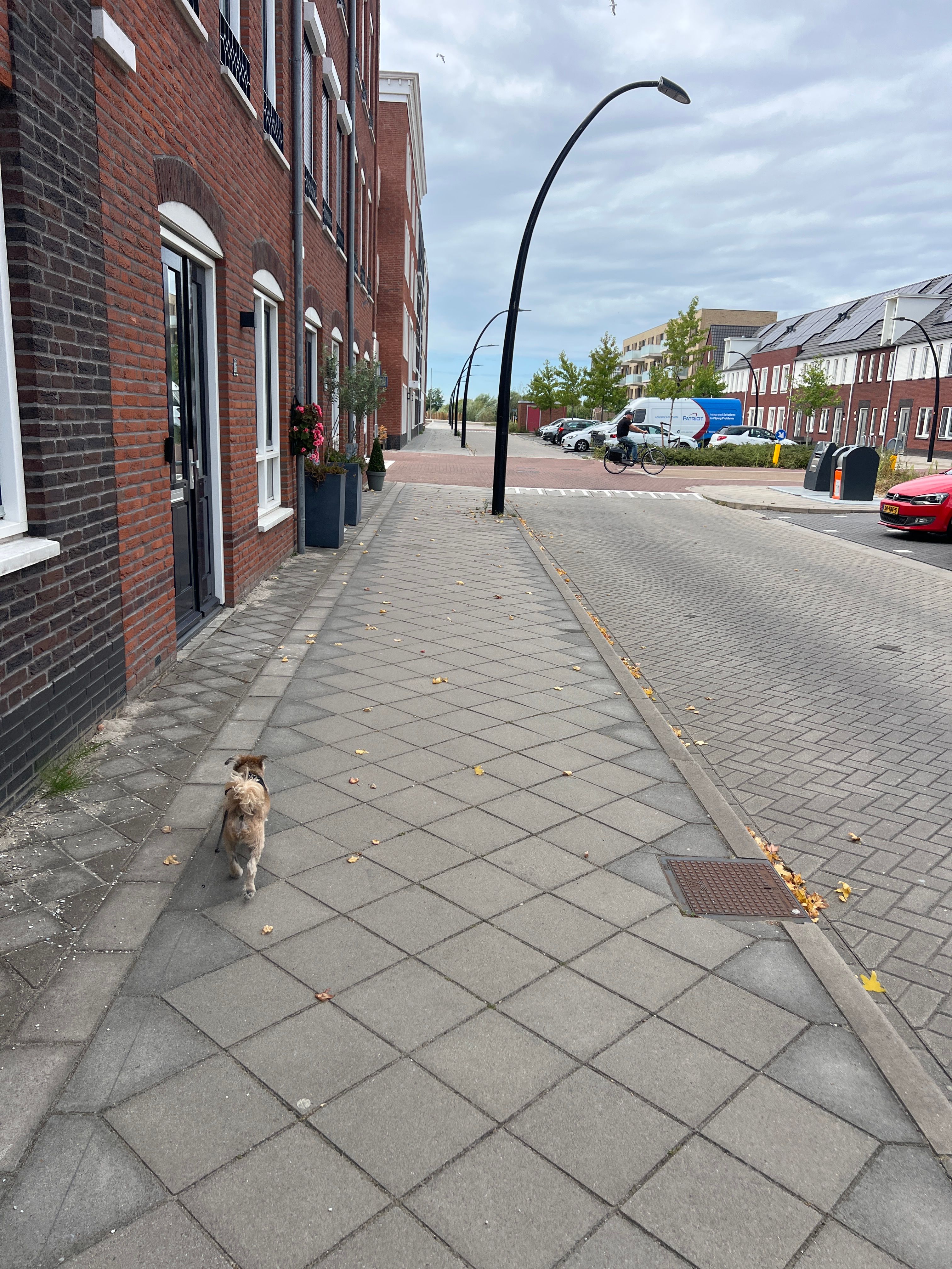 image-12