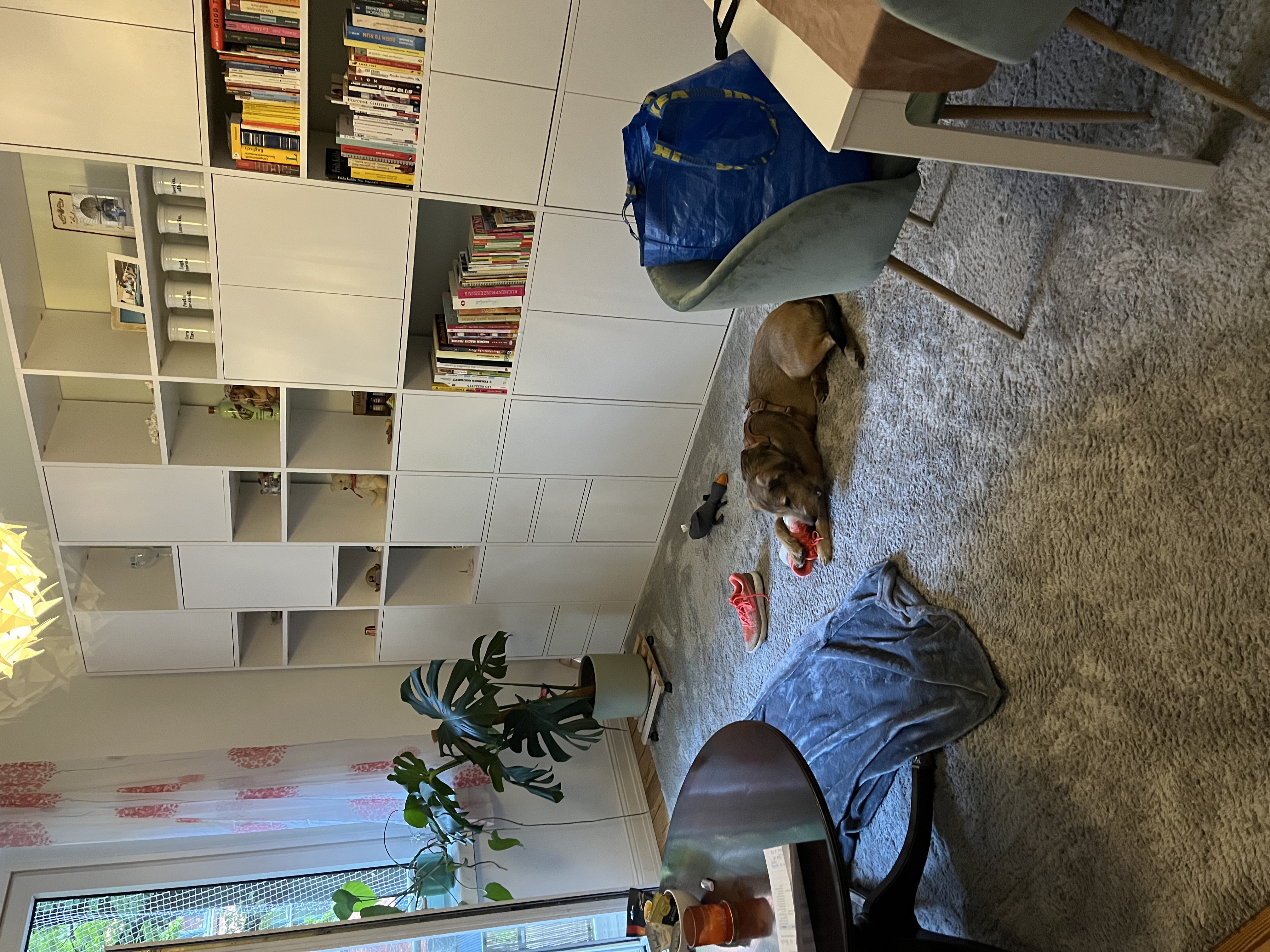 image-16