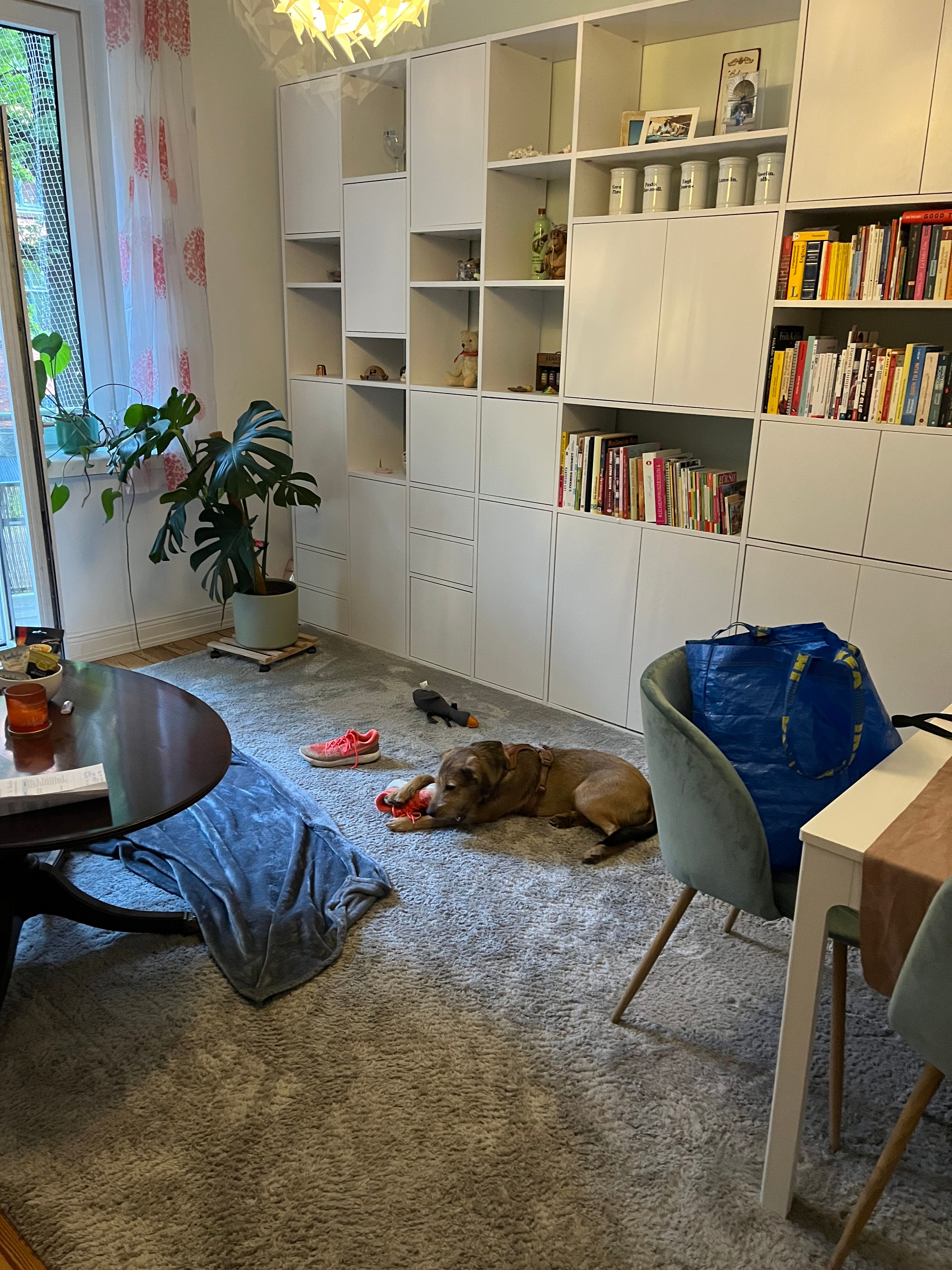 image-16